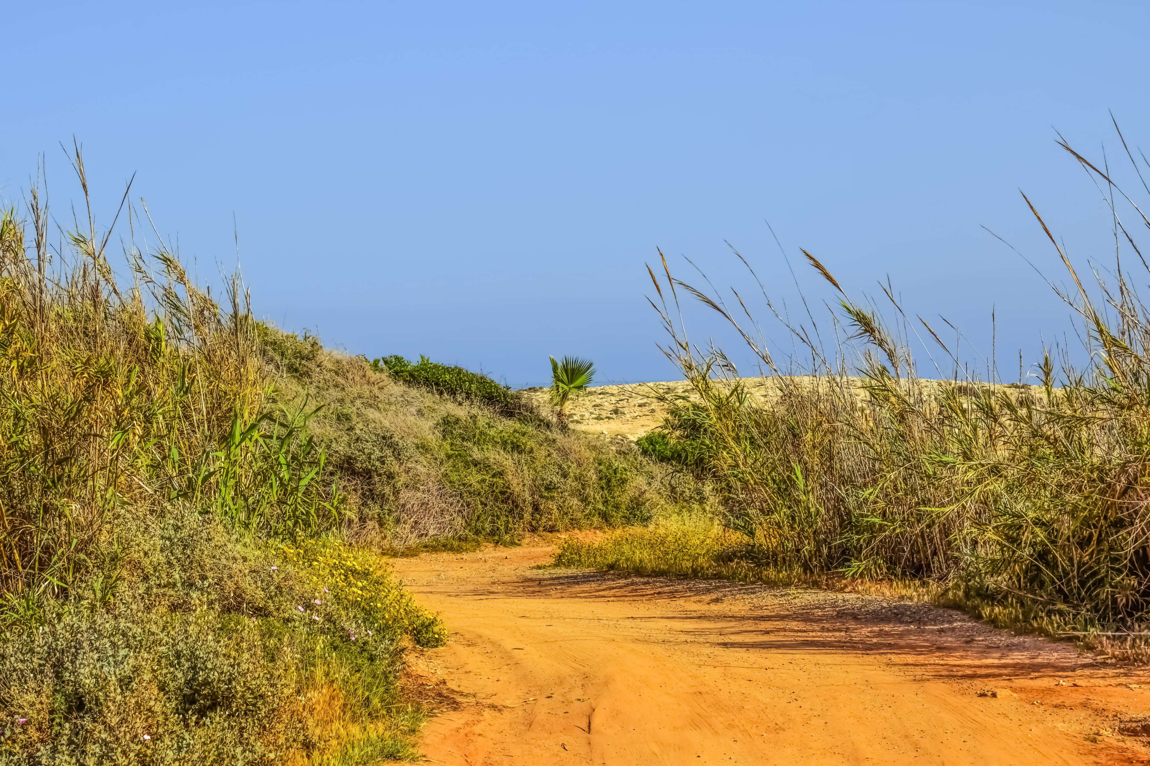 scenery, scenics - nature, semi-arid, rural, cyprus, arid climate, environment, tranquility, clear sky, dirt road, day, plant, non-urban scene, land, kermia, HD Wallpaper