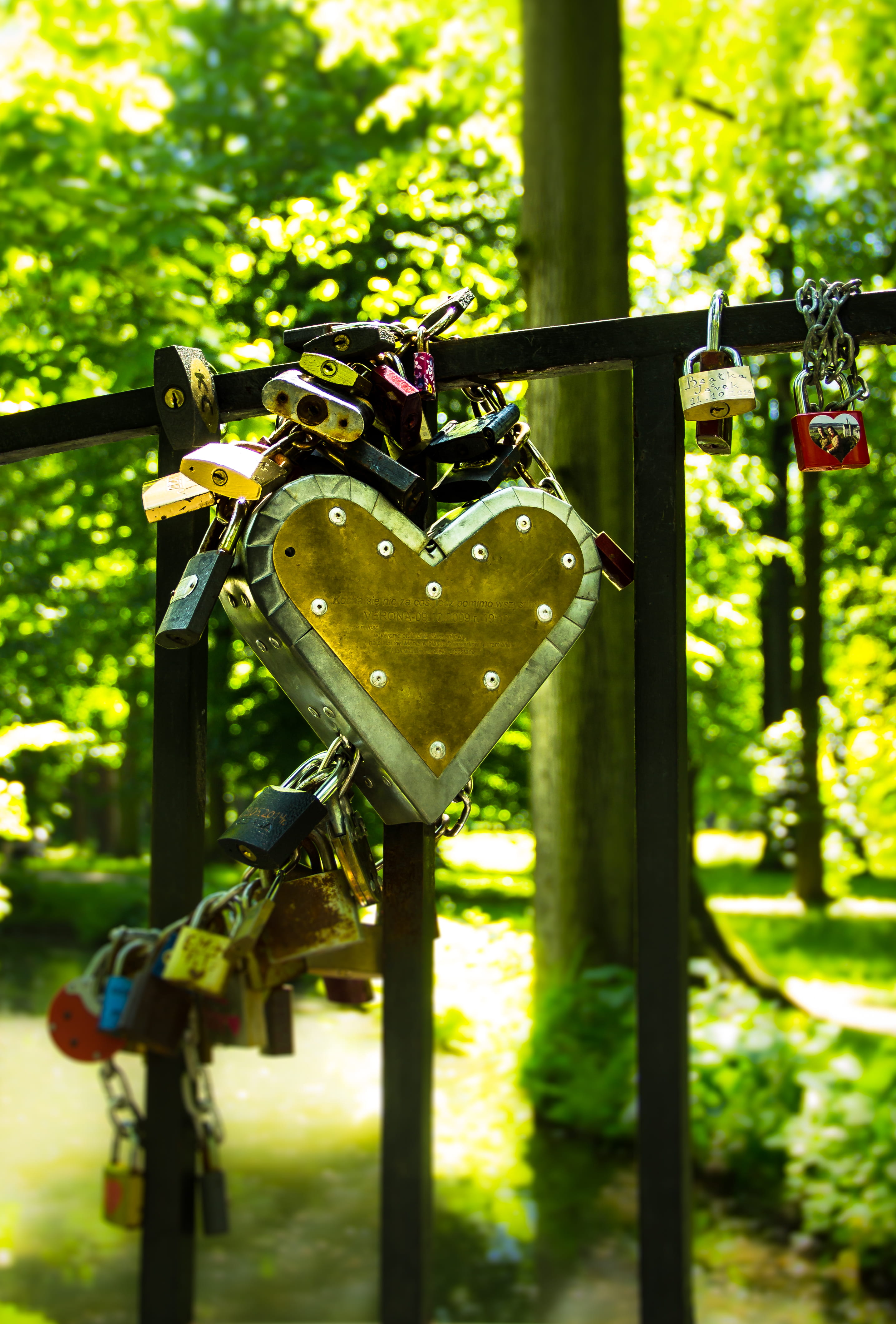 bridge, trees, sunlight, padlocks, nature, lock, safety, focus on foreground, heart, grass, emotion, gate, plant, selective focus, steel, day, no people, Phone HD Wallpaper