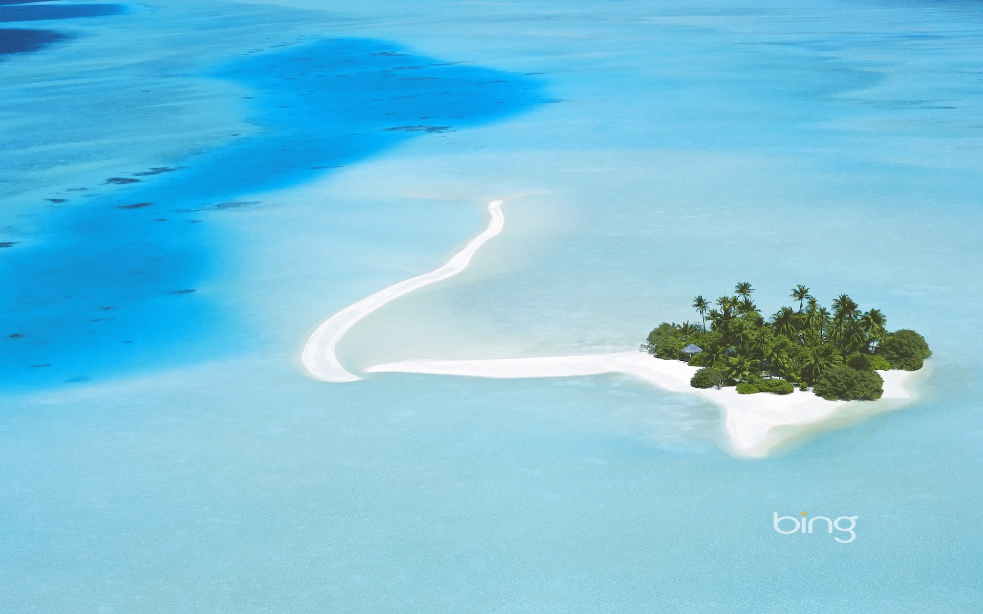day, tree, high angle view, blue, swimming pool, bing, sea, outdoors, land, island, star, aerial view, tunisia, no people, growth, location, sand, beauty in nature, HD Wallpaper