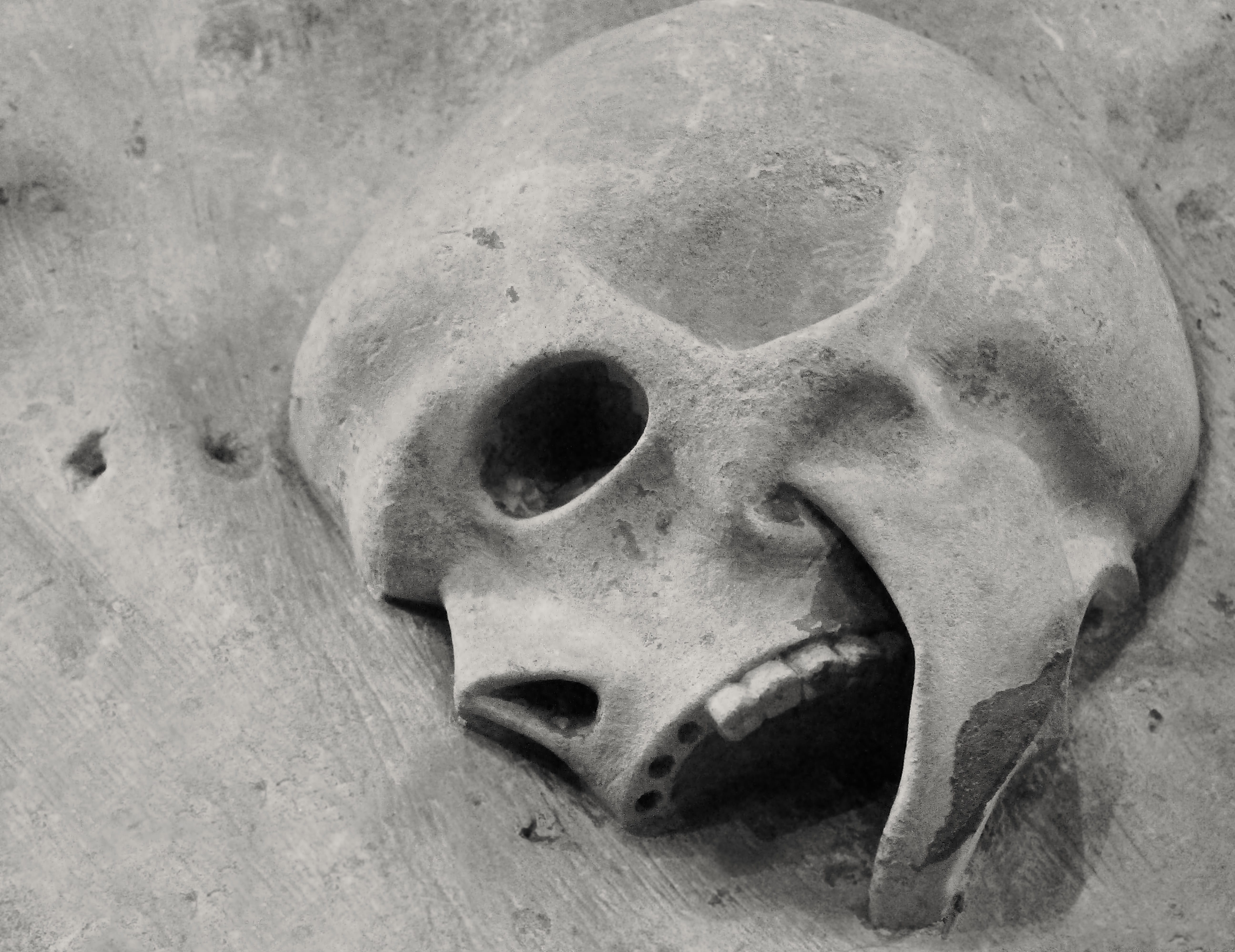 15, cultural monument, small church, close, animal bone, historically, century, faith, summer, spiritual, stone, body part, animal skull, concrete, places of interest, HD Wallpaper