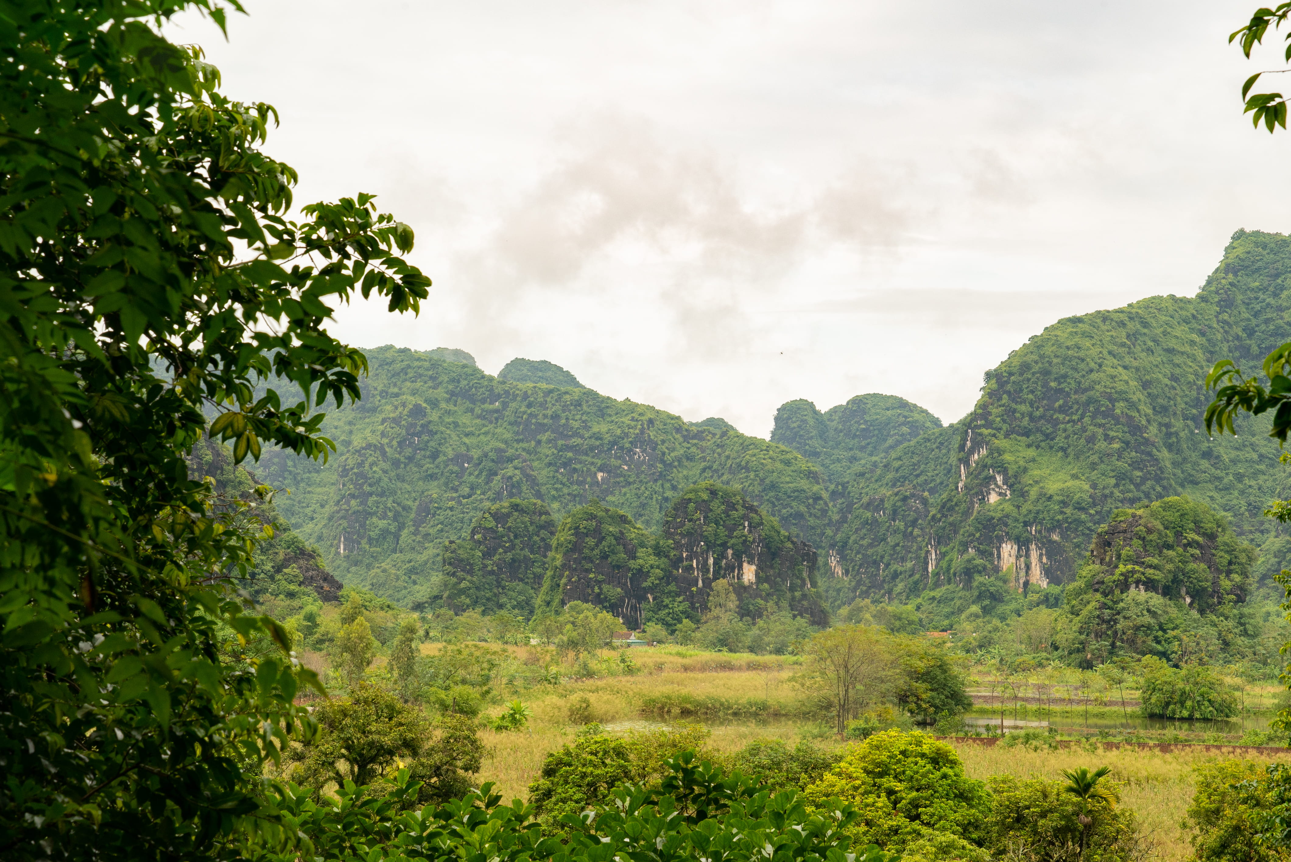 vietnam, mountain, no people, warm, environment, mountains, plant, film location, beauty in nature, outdoors, jeffma, nature, idyllic, rainforest, 4K, HD Wallpaper