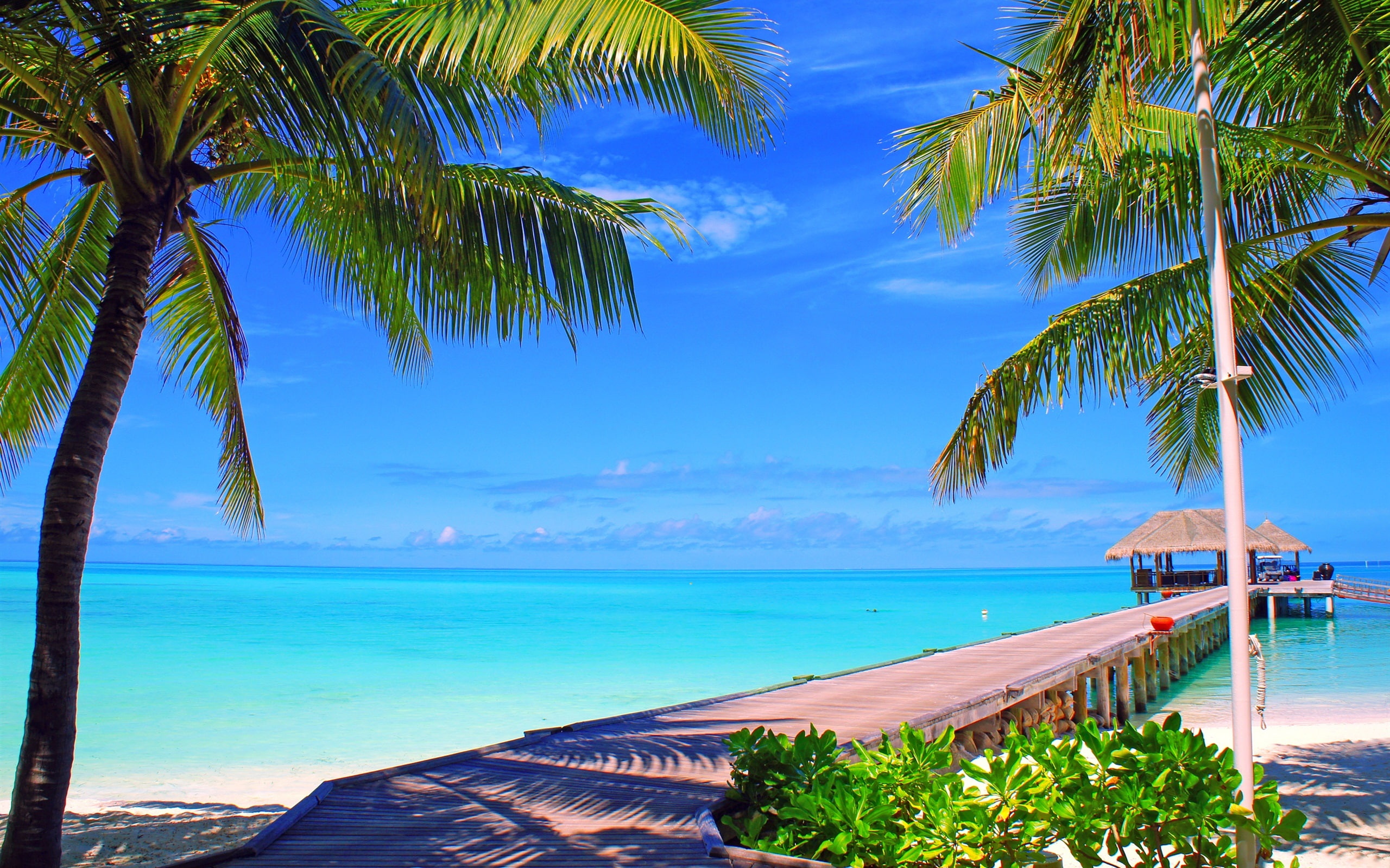 Bridge, Island, Sea, Maldives, Bungalows, 2K, Palm, Trees, Ocean, HD Wallpaper