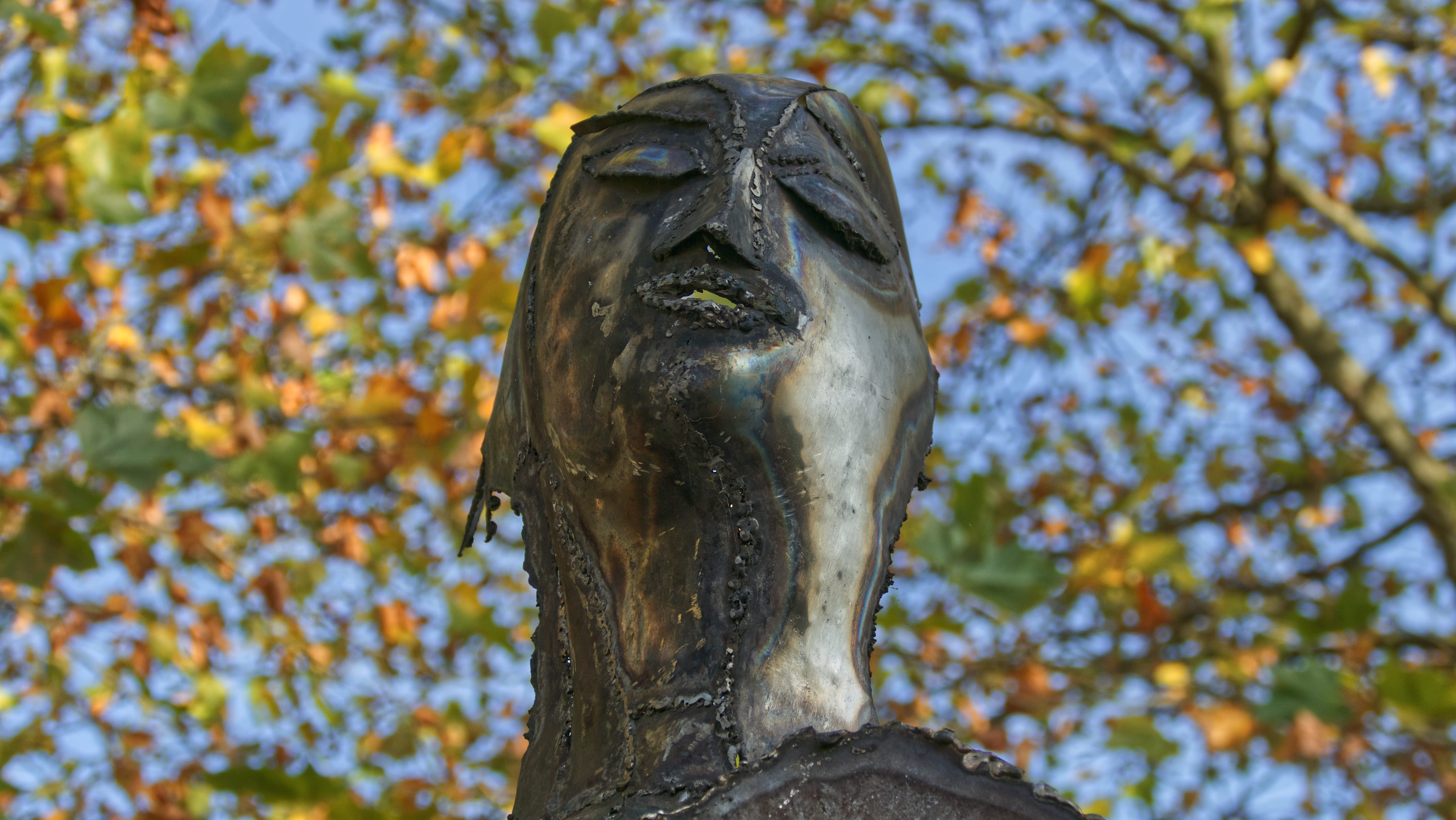 low angle view, sculpture, vertebrate, close-up, no people, animal, one animal, animal themes, animal body part, animal head, nature, france, animals in the wild, HD Wallpaper