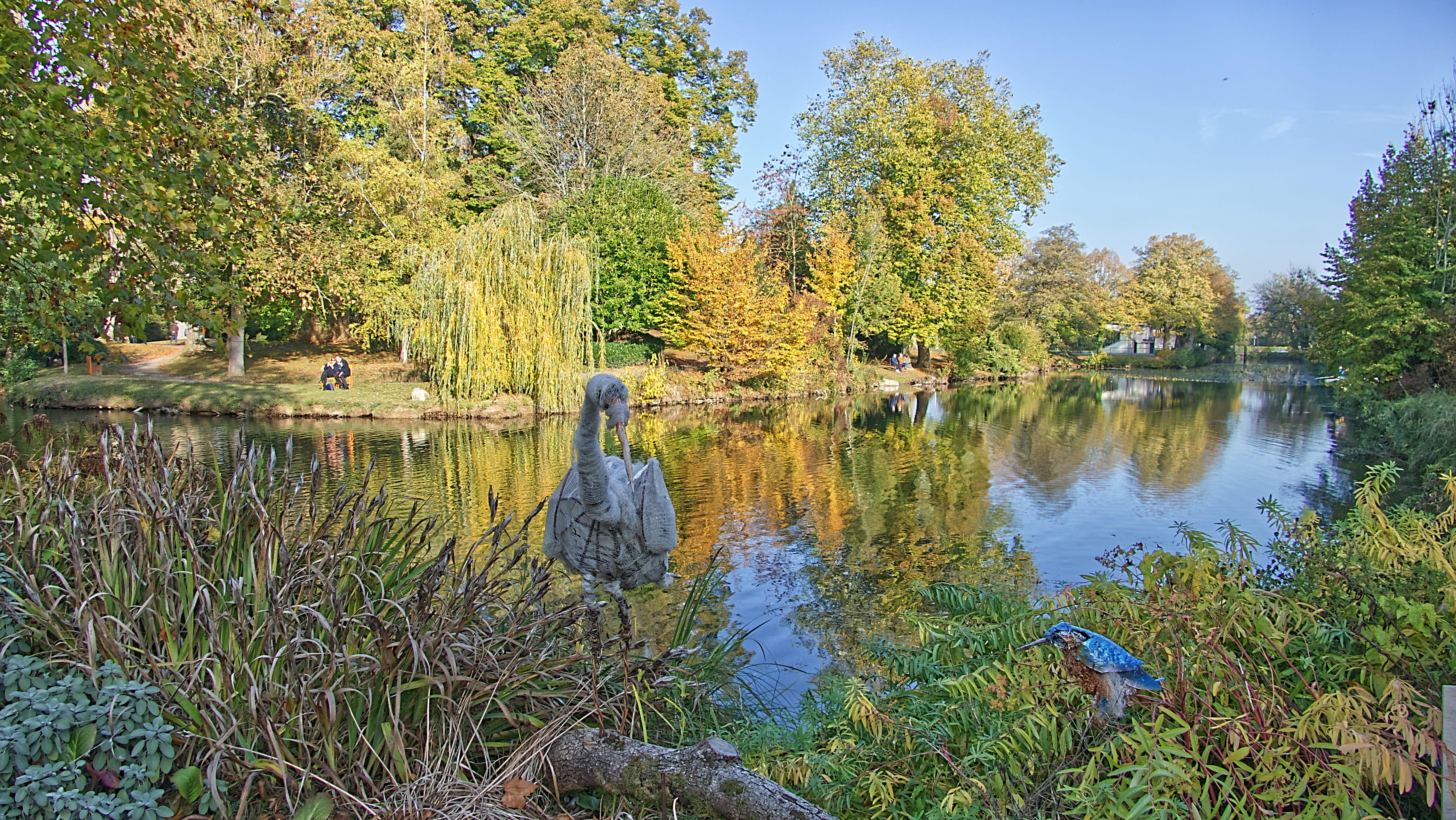 tranquility, non-urban scene, 5K, beauty in nature, outdoors, parc des capucins, growth, day, green color, étang, water, reflection, tree, sky, france, HD Wallpaper