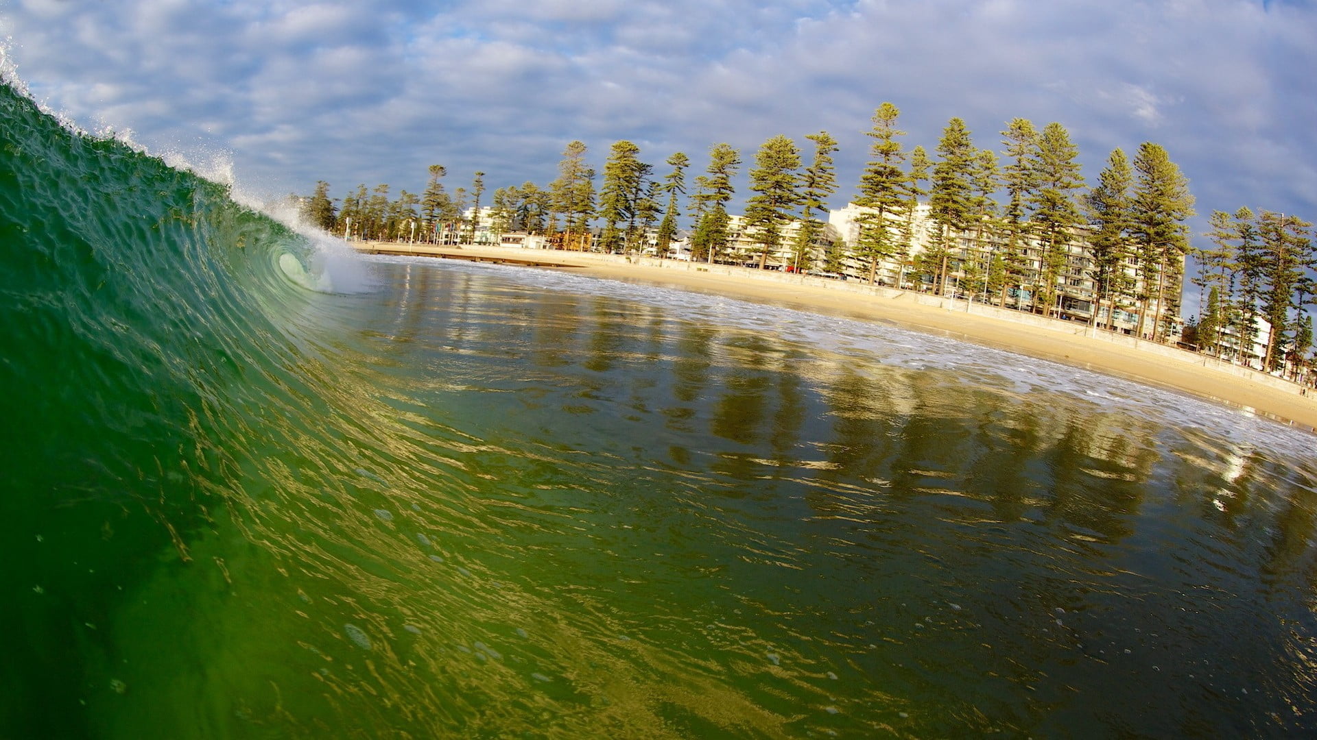 plant, 1080P, outdoors, scenics - nature, surfing, water, forest, tree, sky, green color, land, wave, flowing, nature, sea, tranquility, waterfront, non-urban scene, HD Wallpaper