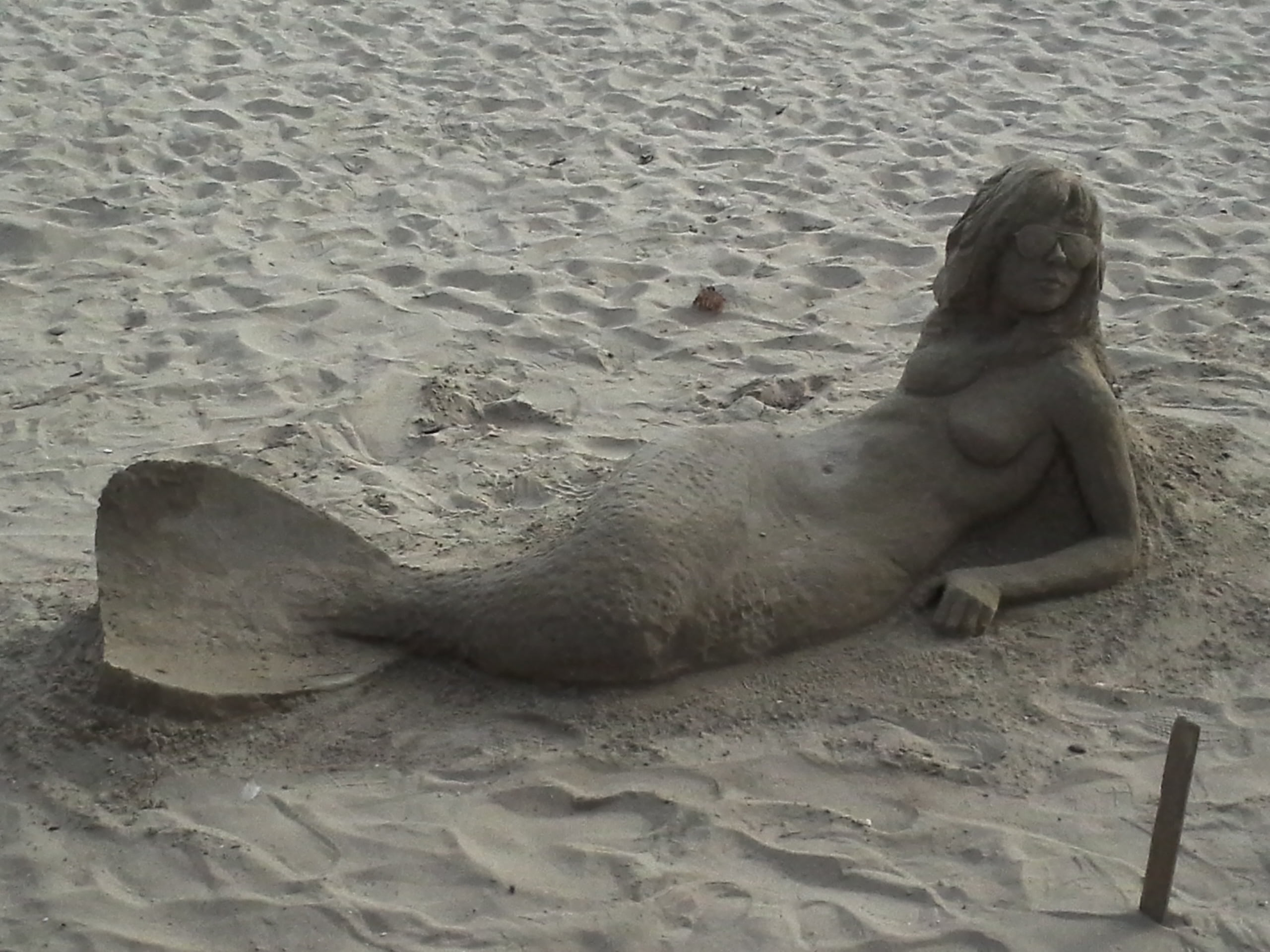 sculpture, animals in the wild, animal themes, relaxation, resting, mammal, 2K, nature, land, day, sea, creativity, sea Lion, outdoors, sand, art and craft, HD Wallpaper