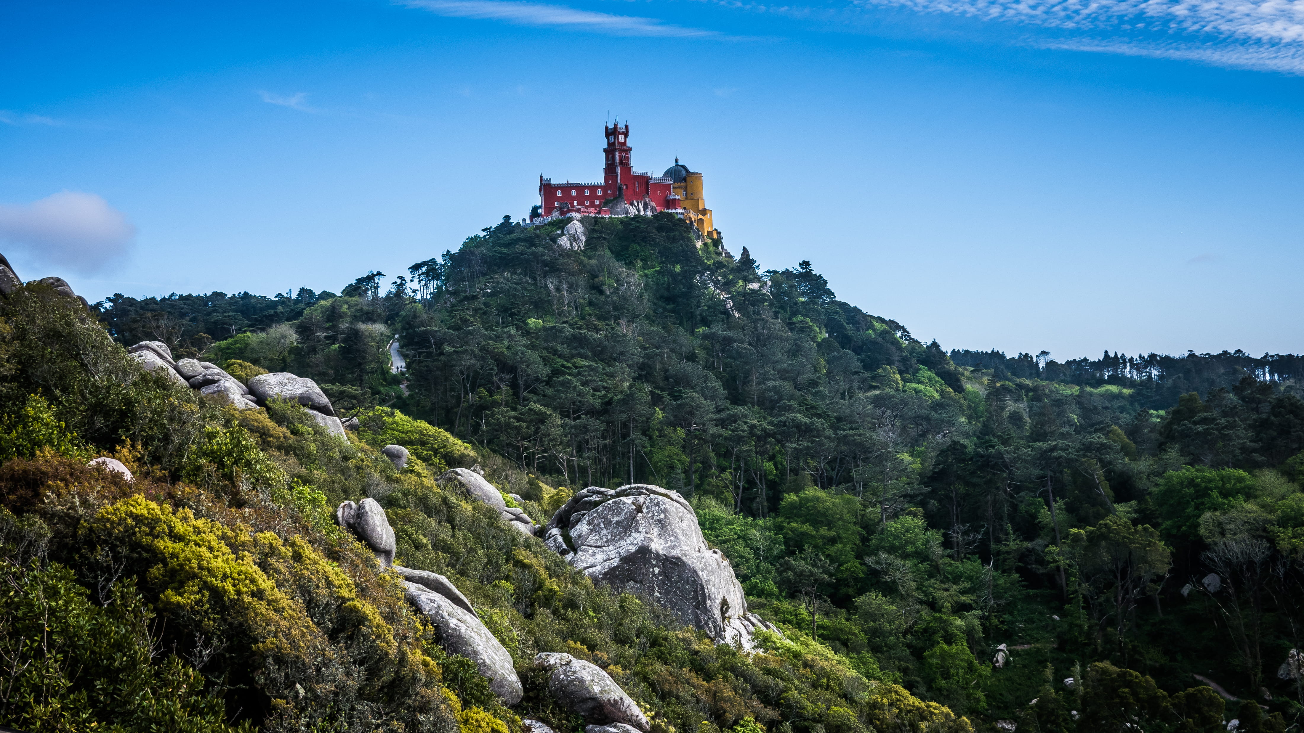 tree, the past, no people, abbey, built structure, nature, building exterior, land, rock, travel destinations, architecture, mountain, sintra, outdoors, HD Wallpaper
