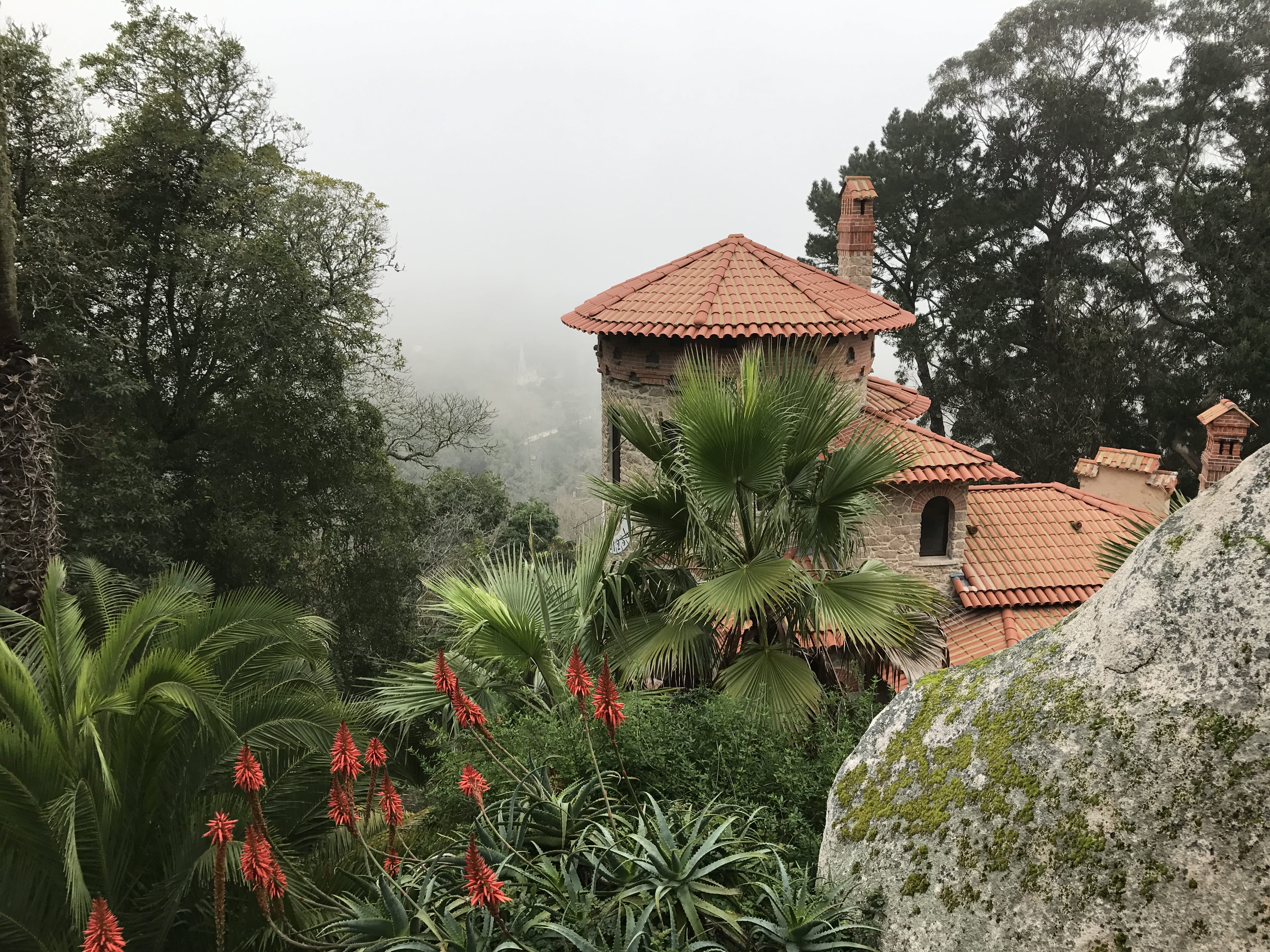 fog, residential district, rock, land, tree, building exterior, outdoors, day, architecture, beauty in nature, green color, portugal, rock - object, nature, HD Wallpaper