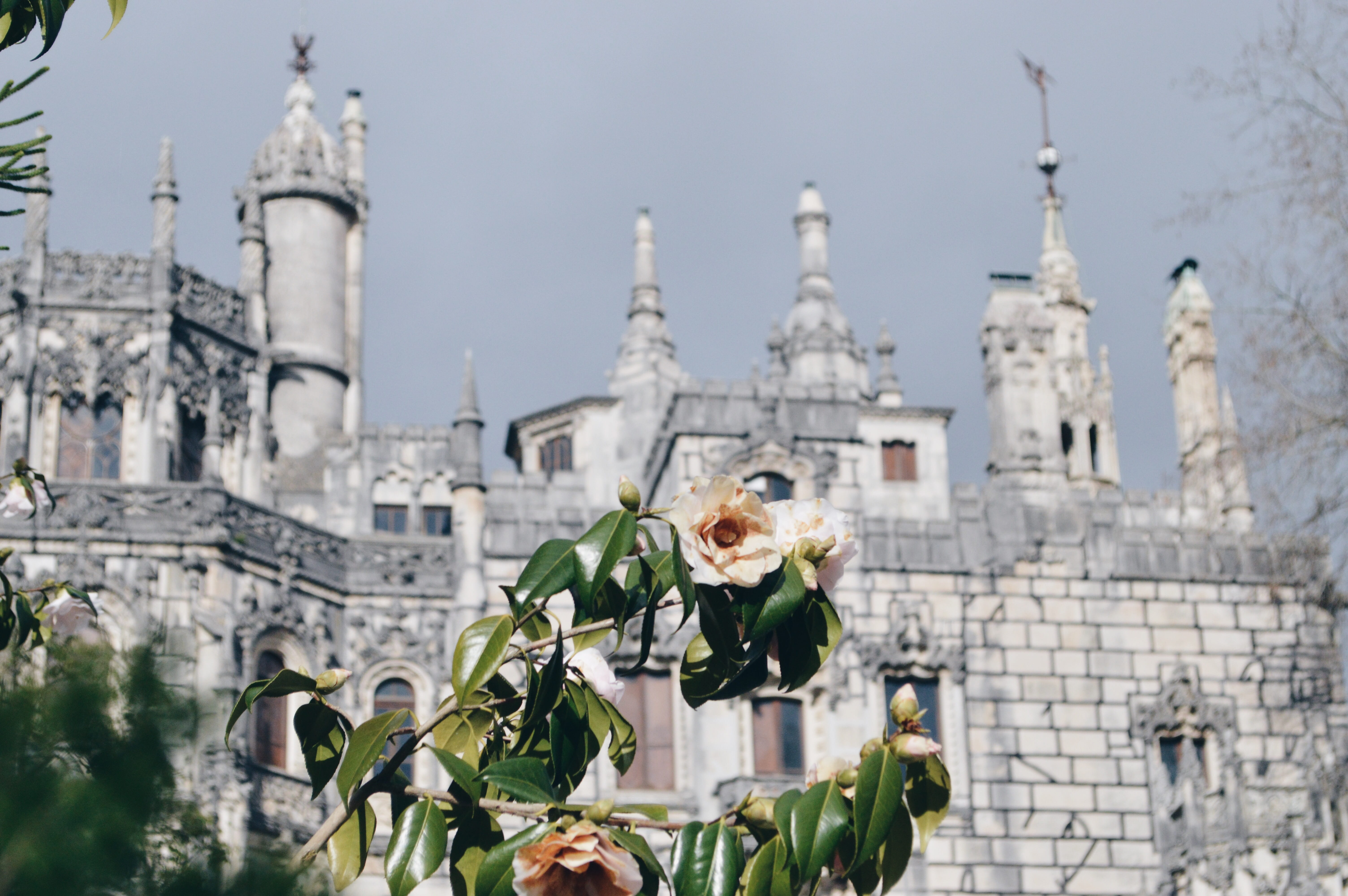 art and craft, nature, the past, city, quinta da regaleira, building, place of worship, lisboa, castle, travel, outdoors, day, focus on foreground, no people, HD Wallpaper