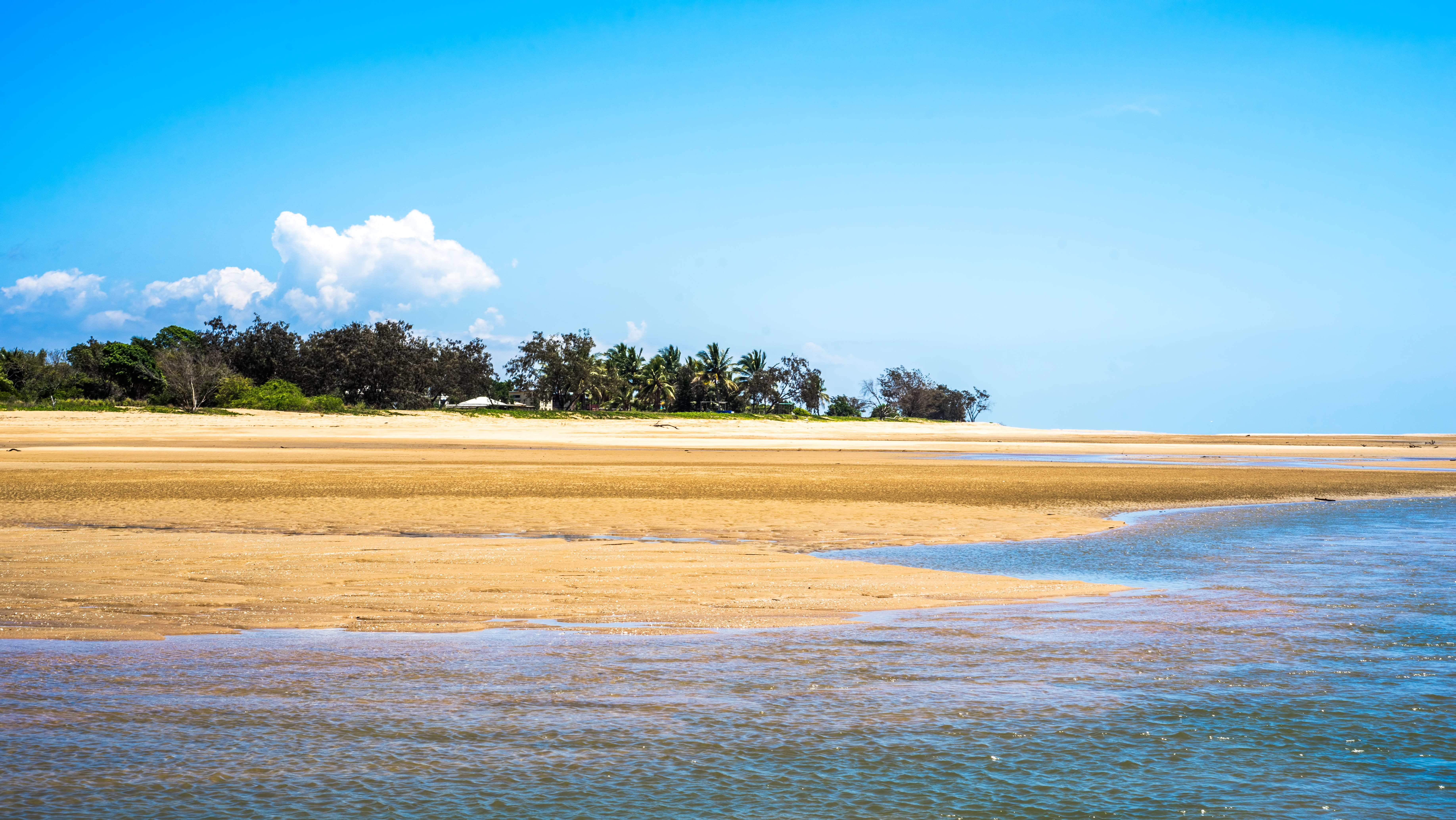beauty in nature, landscape, tropical tree, scenics - nature, sky, blue, saunders is north of townsville, sea, no people, saunders beach, environment, tree, HD Wallpaper