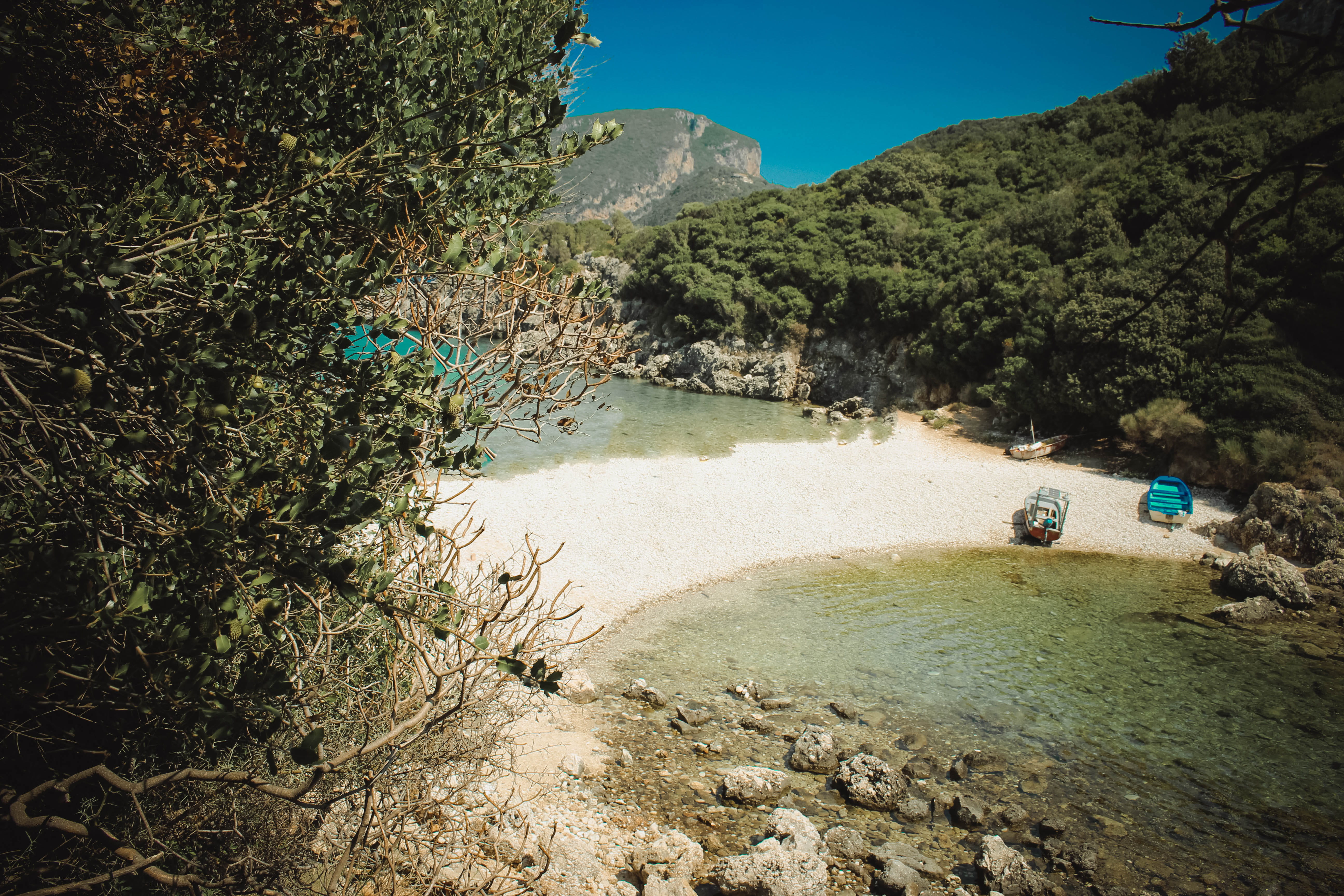 corfu, sunlight, scenics - nature, beach, rock, no people, corfou, tree, beauty in nature, plant, land, 5K, alone, mountain, growth, non-urban scene, secret, HD Wallpaper