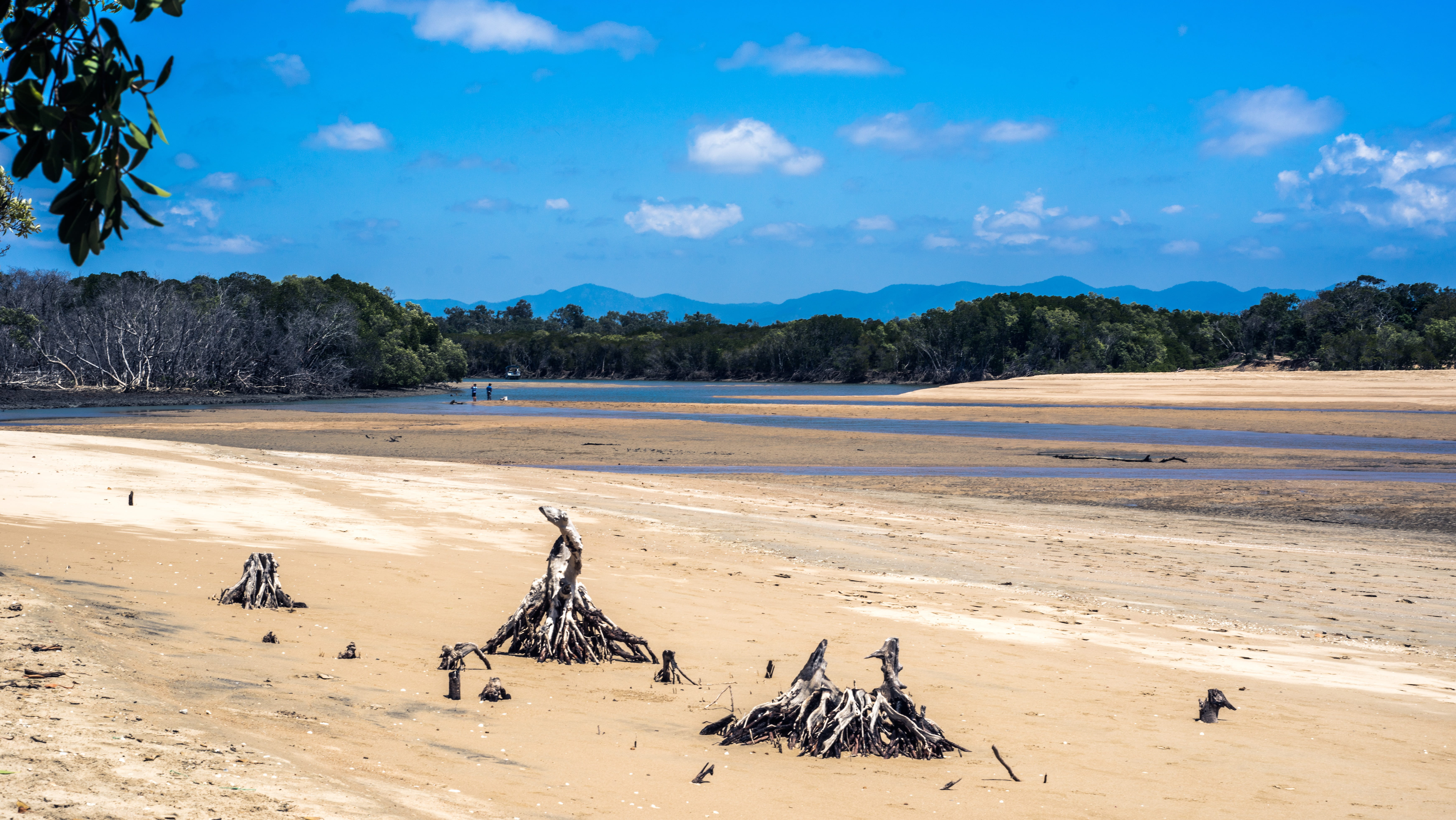 travel destinations, mountain, tree, sand, land, sky, low tide, cloud - sky, plant, saunders camping park, beauty in nature, climate, water, saunders shop, HD Wallpaper
