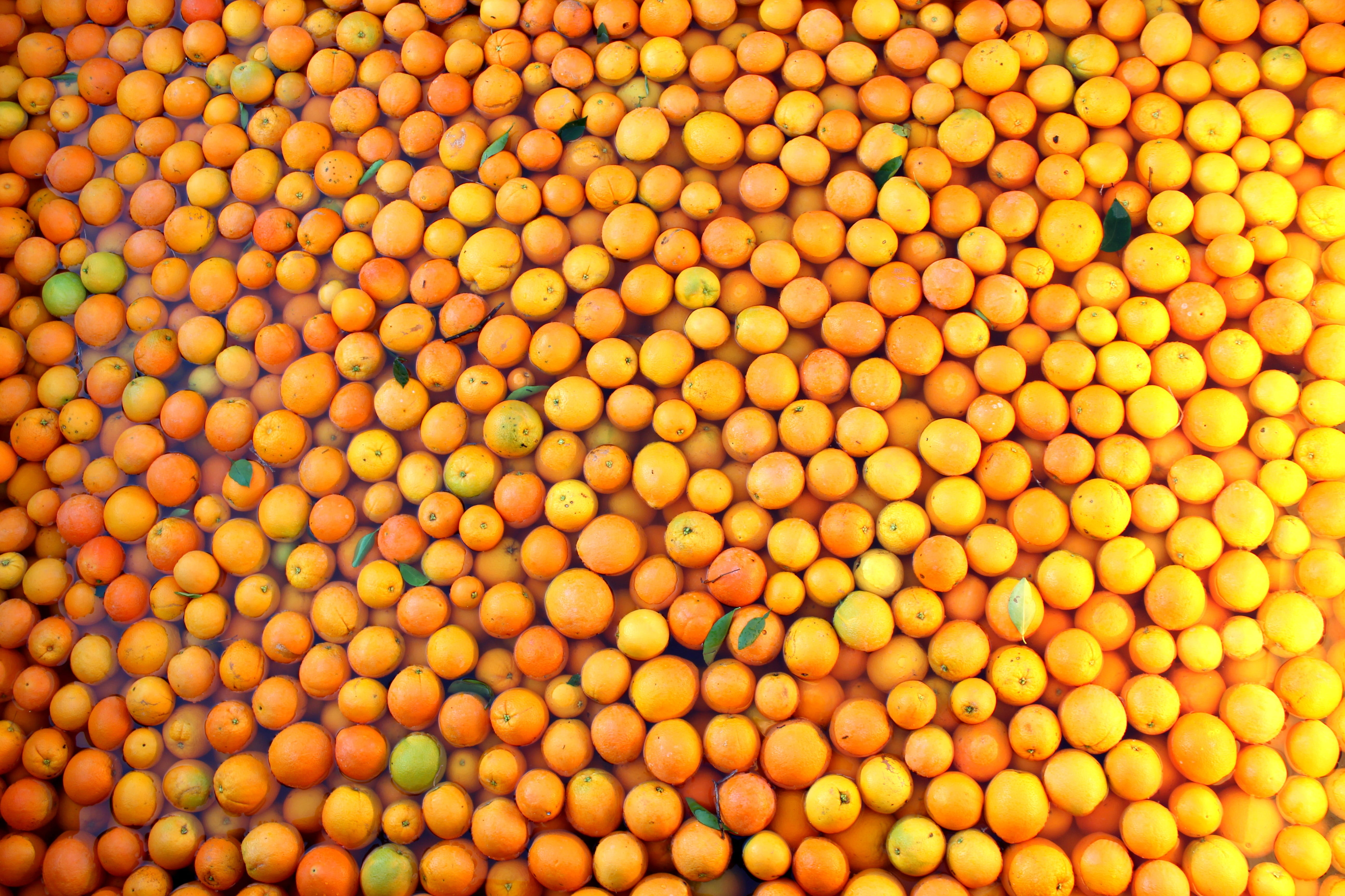nature, yellow, food And Drink, citrus, vitamin, close-up, juicy, natural, repetition, abundance, ripe, Healthy, sweet, large group of objects, freshness, HD Wallpaper