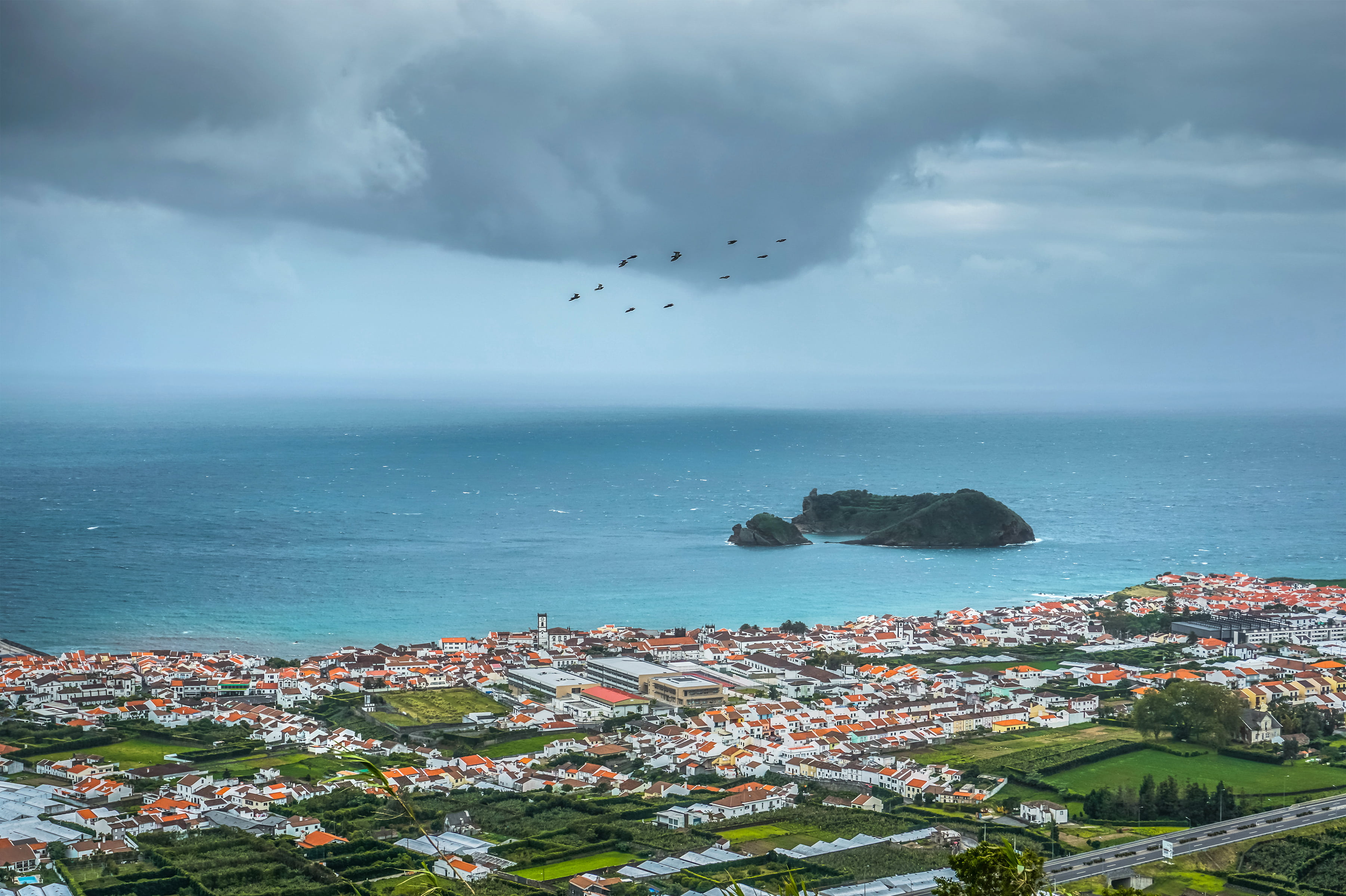 animal wildlife, Vila Franco do Campo, flying, houses, cloud - sky, city, town, sky, horizon over water, coastline, sea, portugal, no people, building exterior, HD Wallpaper