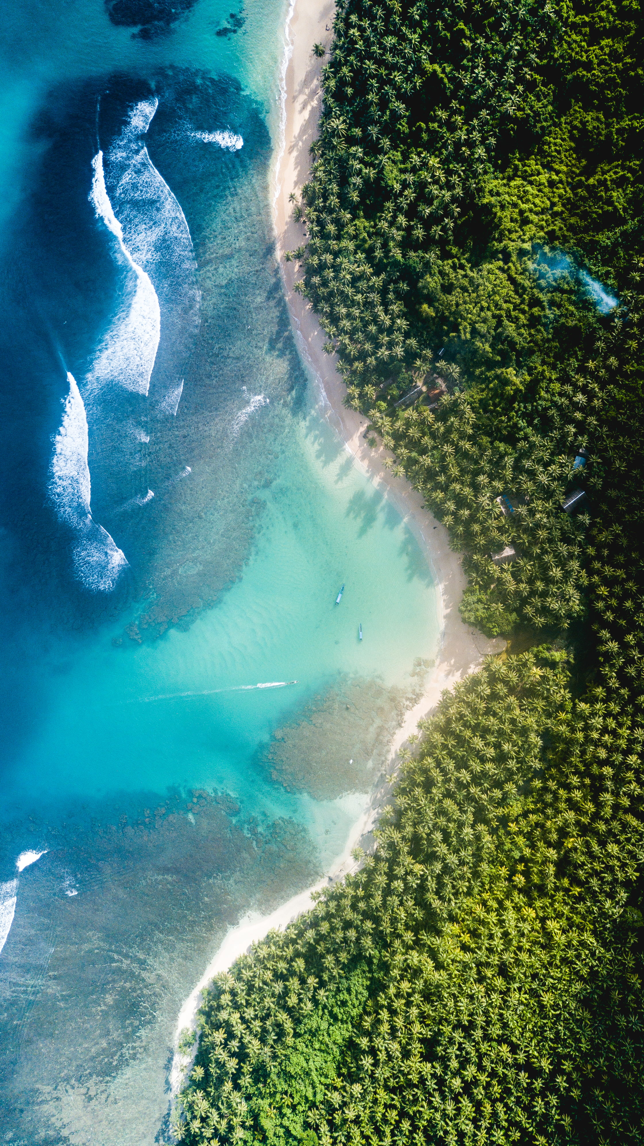 turquoise colored, ocean, growth, day, near, sport, blue water, tropical, plant, tranquil scene, tree, land, blue, high angle view, wave, power in nature, Phone HD Wallpaper
