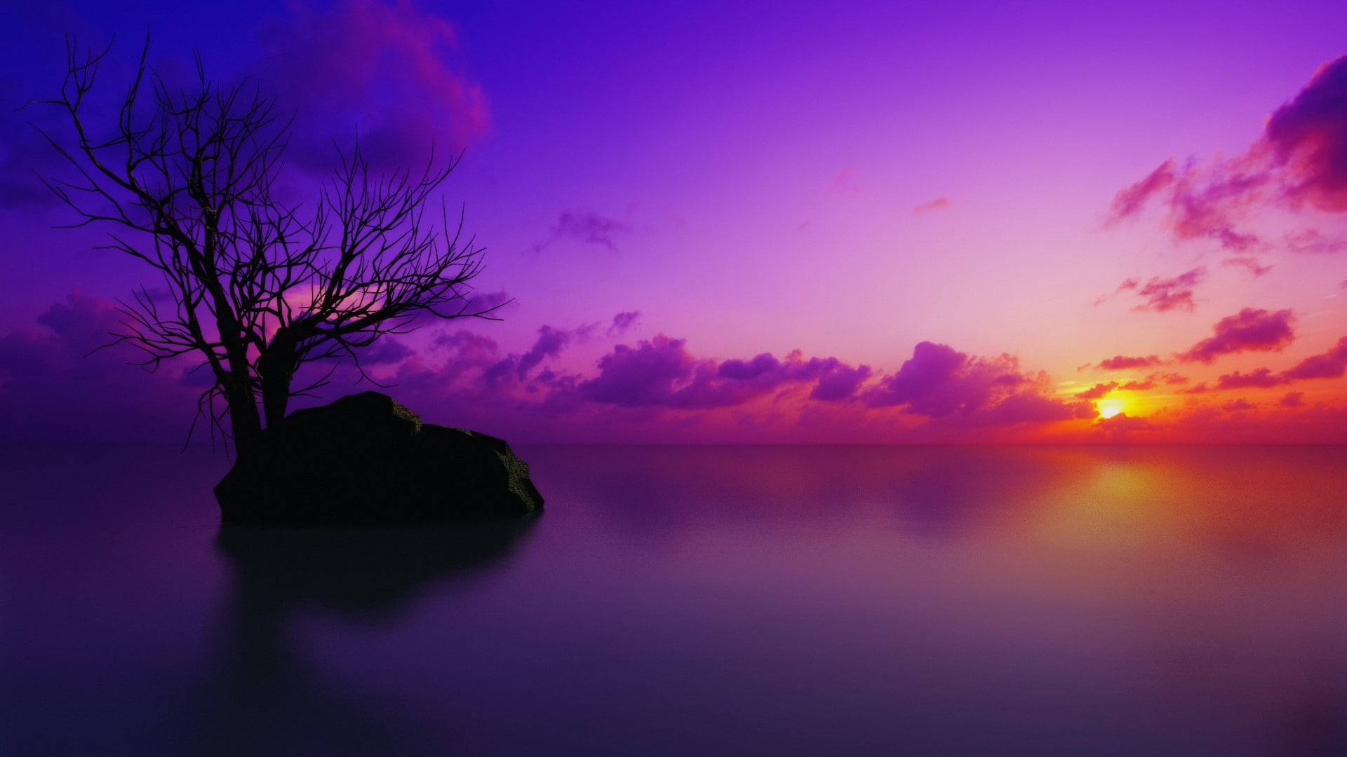 colorful sky, islet, lake, lone tree, morning, rock, sunset, water, afterglow, calm, dusk, purple sky, sky, lonely tree, purple landscape, reflection, 1080P, HD Wallpaper