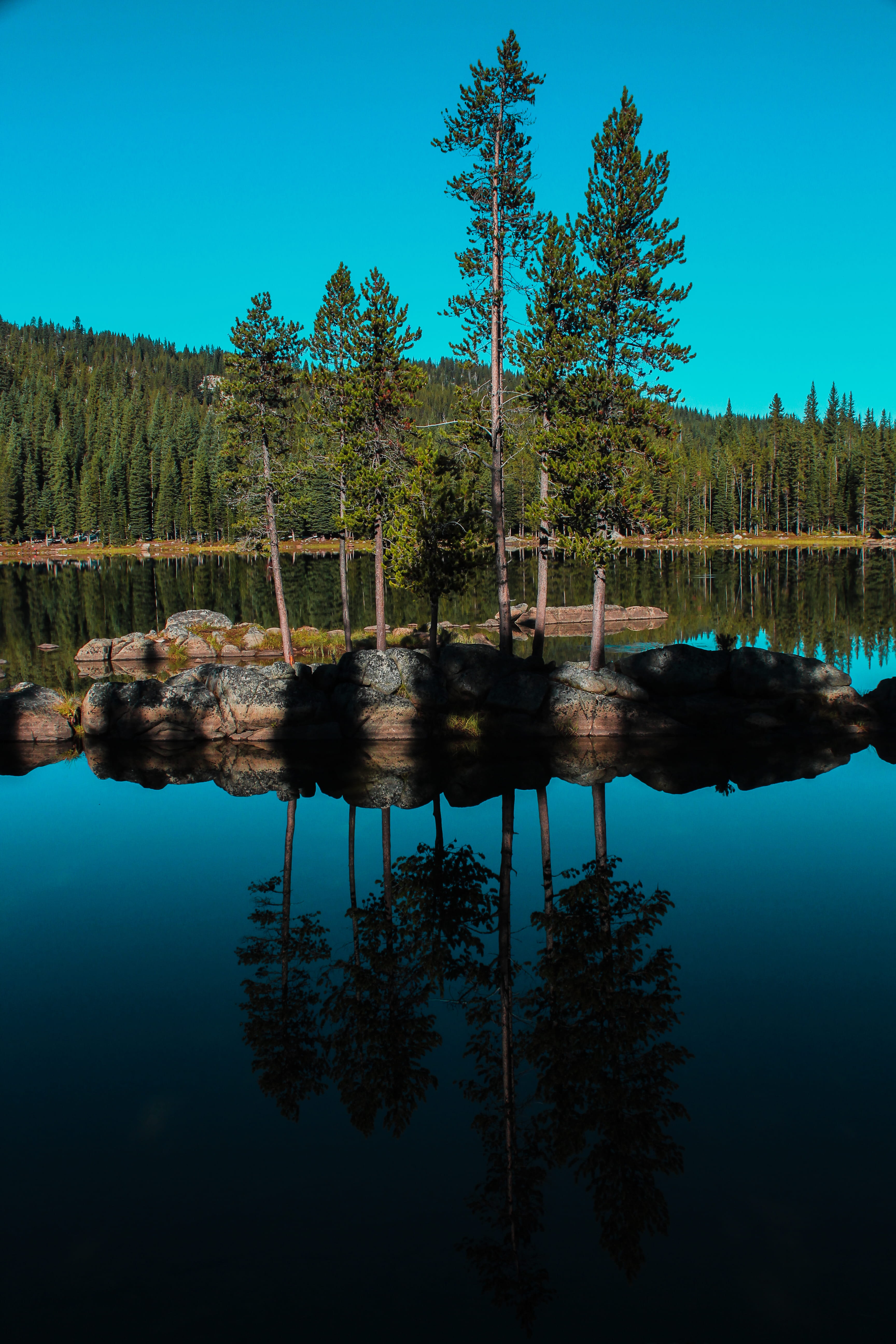 gray, scenics - nature, reflection, no people, tree, islet, lake, water, forest, beauty in nature, waterfront, reflection lake, tranquil scene, growth, Phone HD Wallpaper