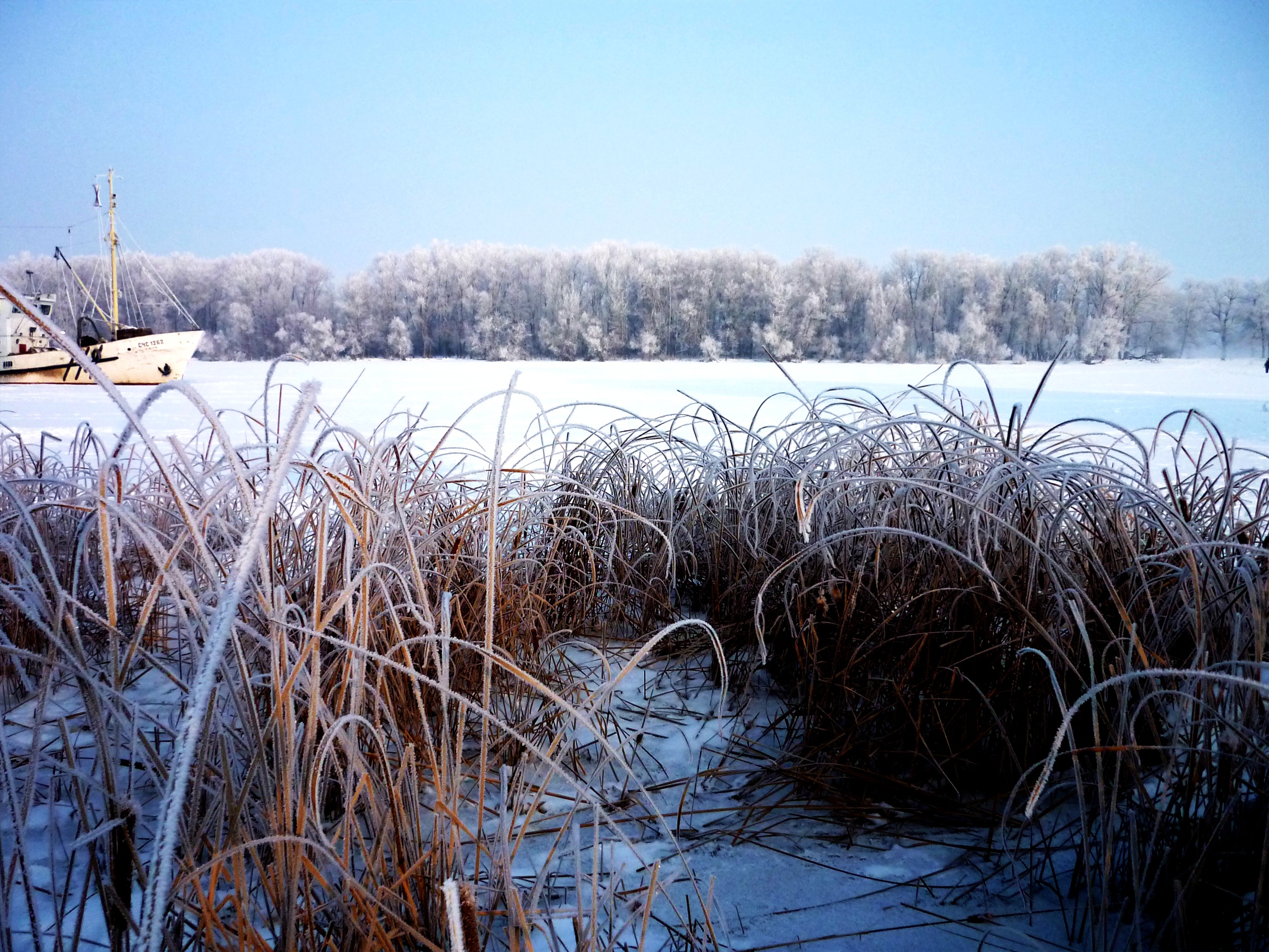 snow, clear sky, nature, sky, cold temperature, winter, tranquility, volga, outdoors, plant, the islet, river, water, frozen, grass, day, no people, growth, HD Wallpaper