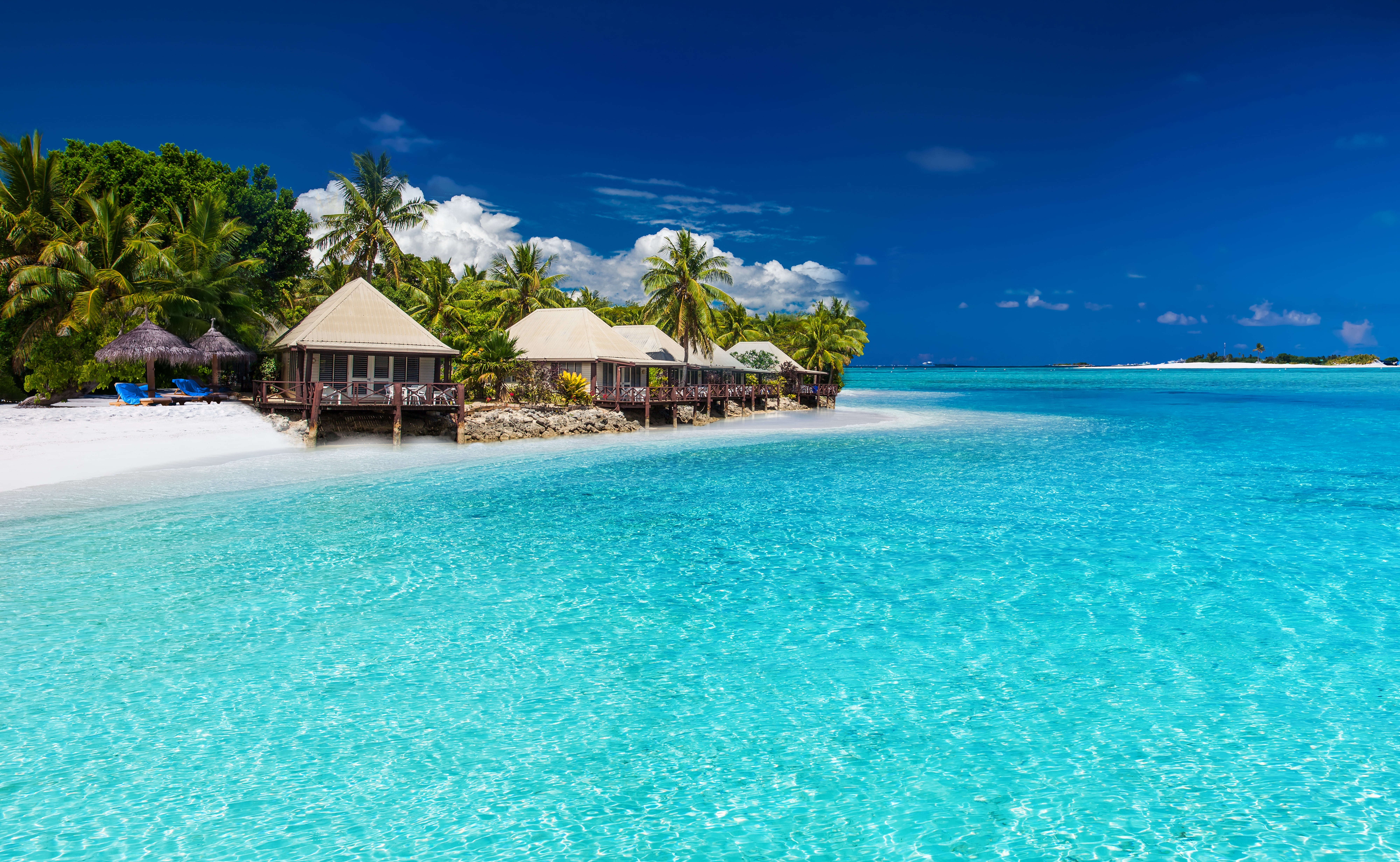 white, The Maldives, journey, caribbean Sea, water, beach, palm trees, transparent, caribbean, landscape, summer, outdoors, coast, south Male Atoll, maldives, HD Wallpaper
