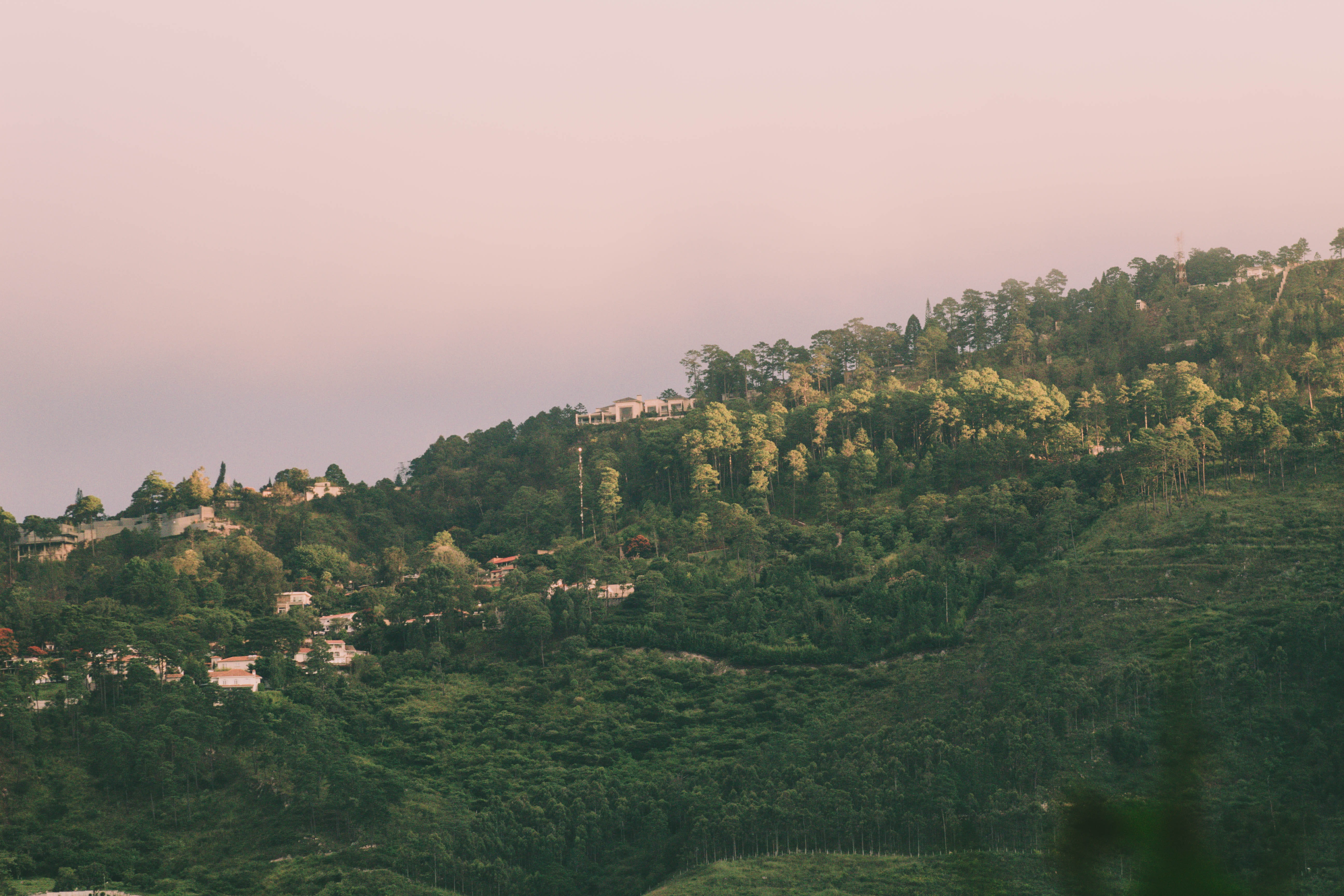 mountain, 5K, sunset, idyllic, day, nature, green color, no people, land, tree, tranquil scene, honduras, scenics - nature, tegucigalpa, tranquility, non-urban scene, HD Wallpaper