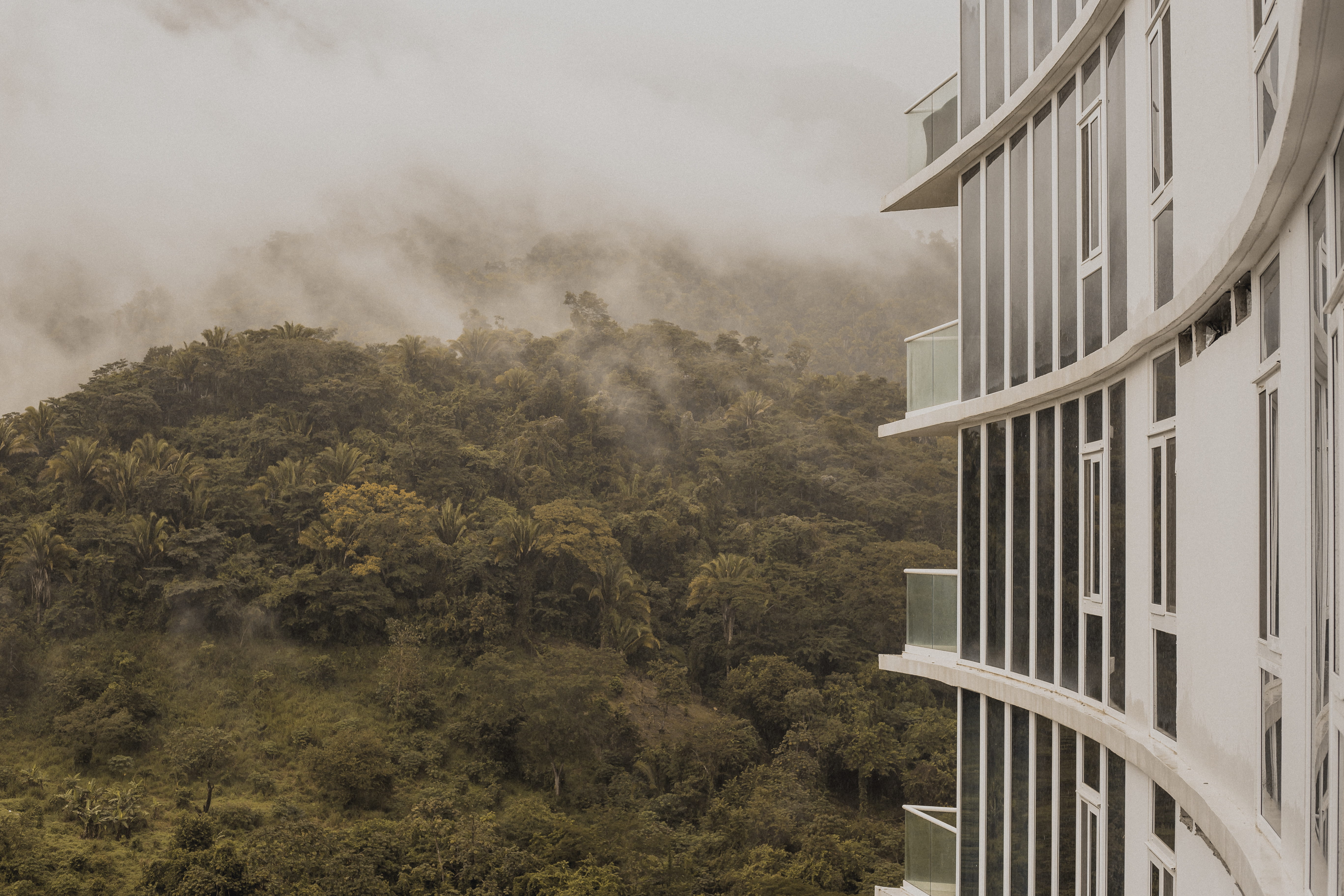 no people, mountain, building, #fog, #building, plant, #naturelovers, 5K, nature, tree, day, pollution, #forest, san pedro sula, fog, beauty in nature, HD Wallpaper