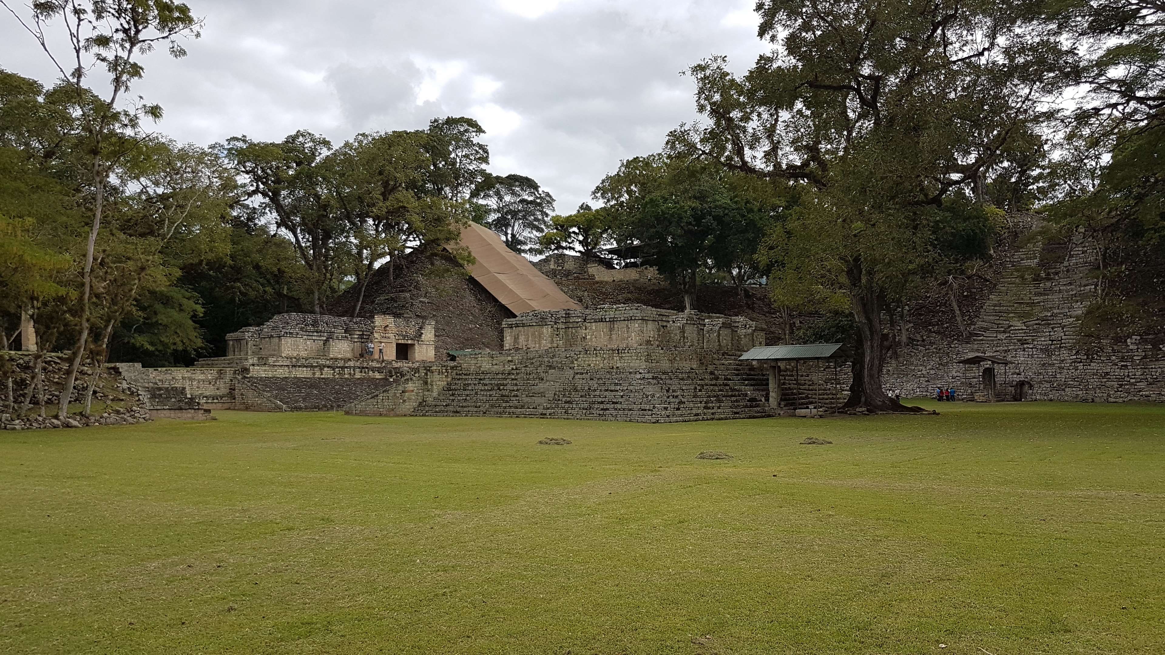 growth, no people, grass, maya, wall, field, honduras, green color, tree, old, antique, travel destinations, architecture, the past, history, ruins, copan, HD Wallpaper