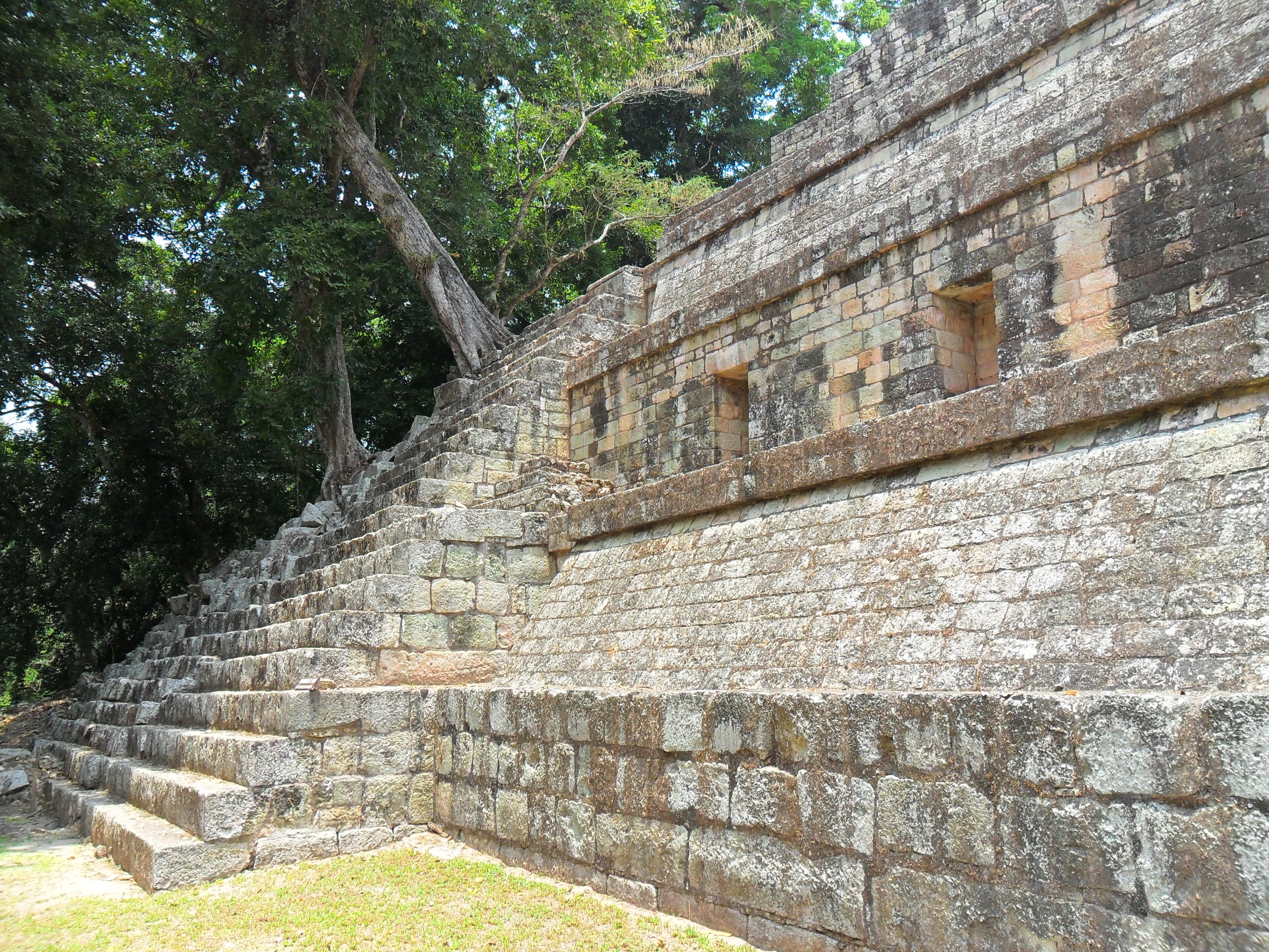 tourism, day, plant, wall - Building Feature, ancient, catrachos, the past, honduras, tree, famous Place, stelae, copán, stone wall, travel, nature, architecture, HD Wallpaper
