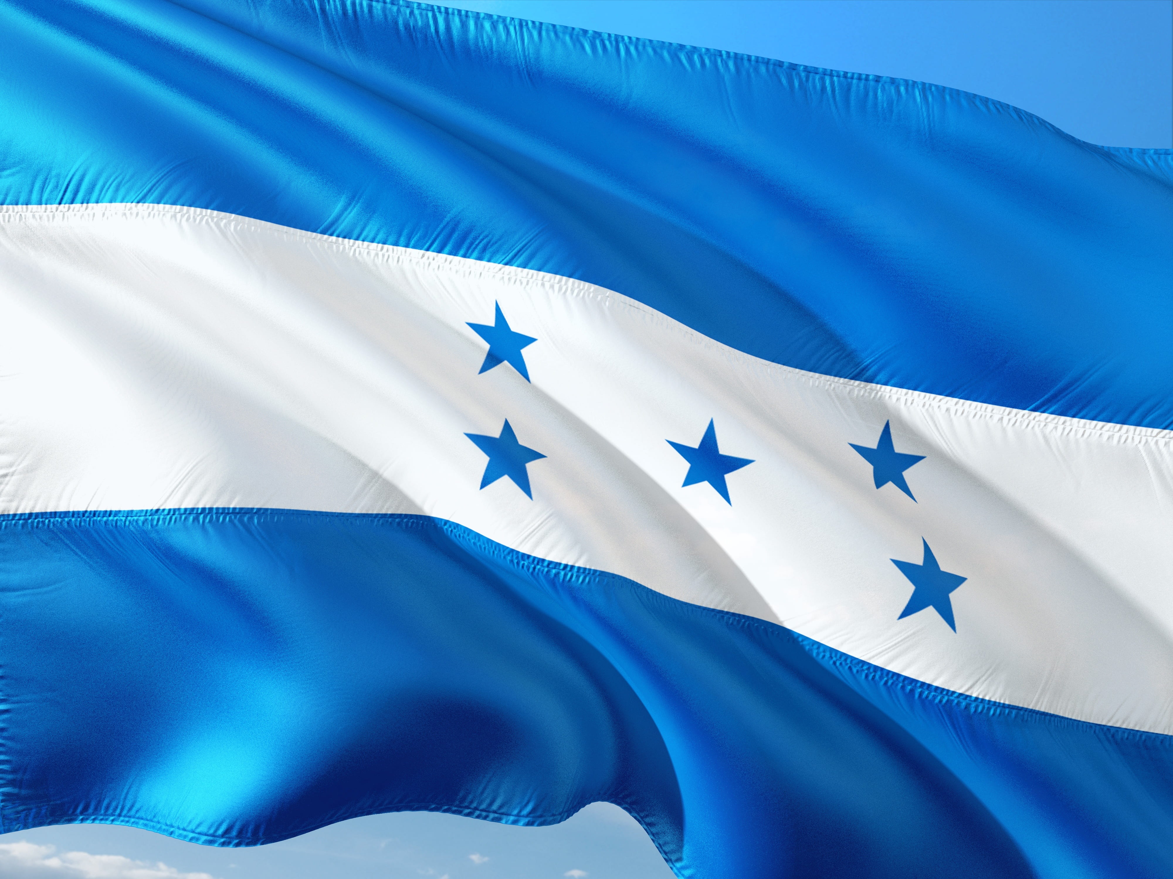 striped, central america, blue, white color, daytime, shape, patriotism, white, ay, backgrounds, waving, international, indoors, nature, 4K, full frame, HD Wallpaper
