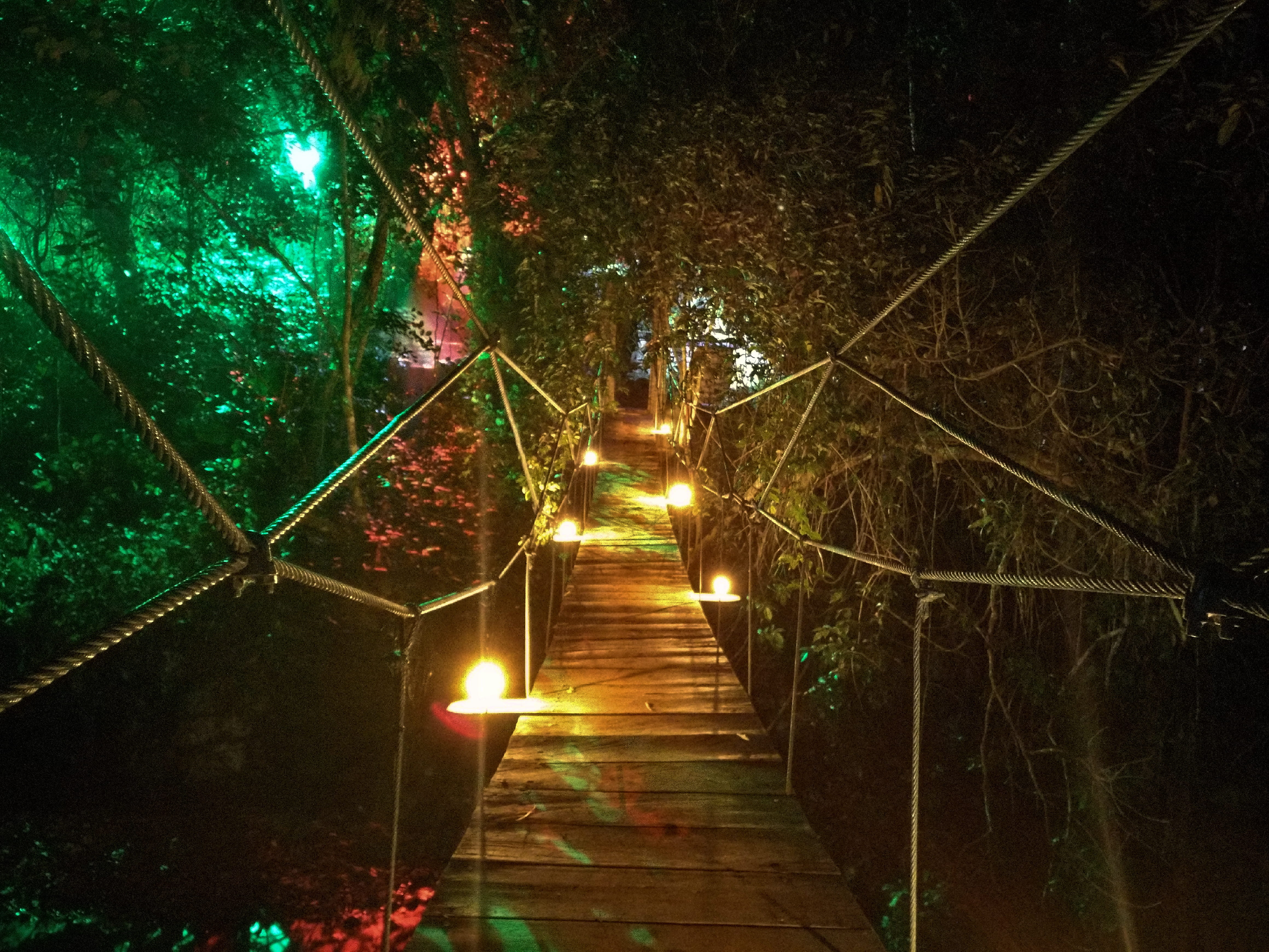 4K, lighting equipment, the way forward, no people, architecture, plant, luna jaguar spa resort, light beam, light, electric light, built structure, nature, HD Wallpaper