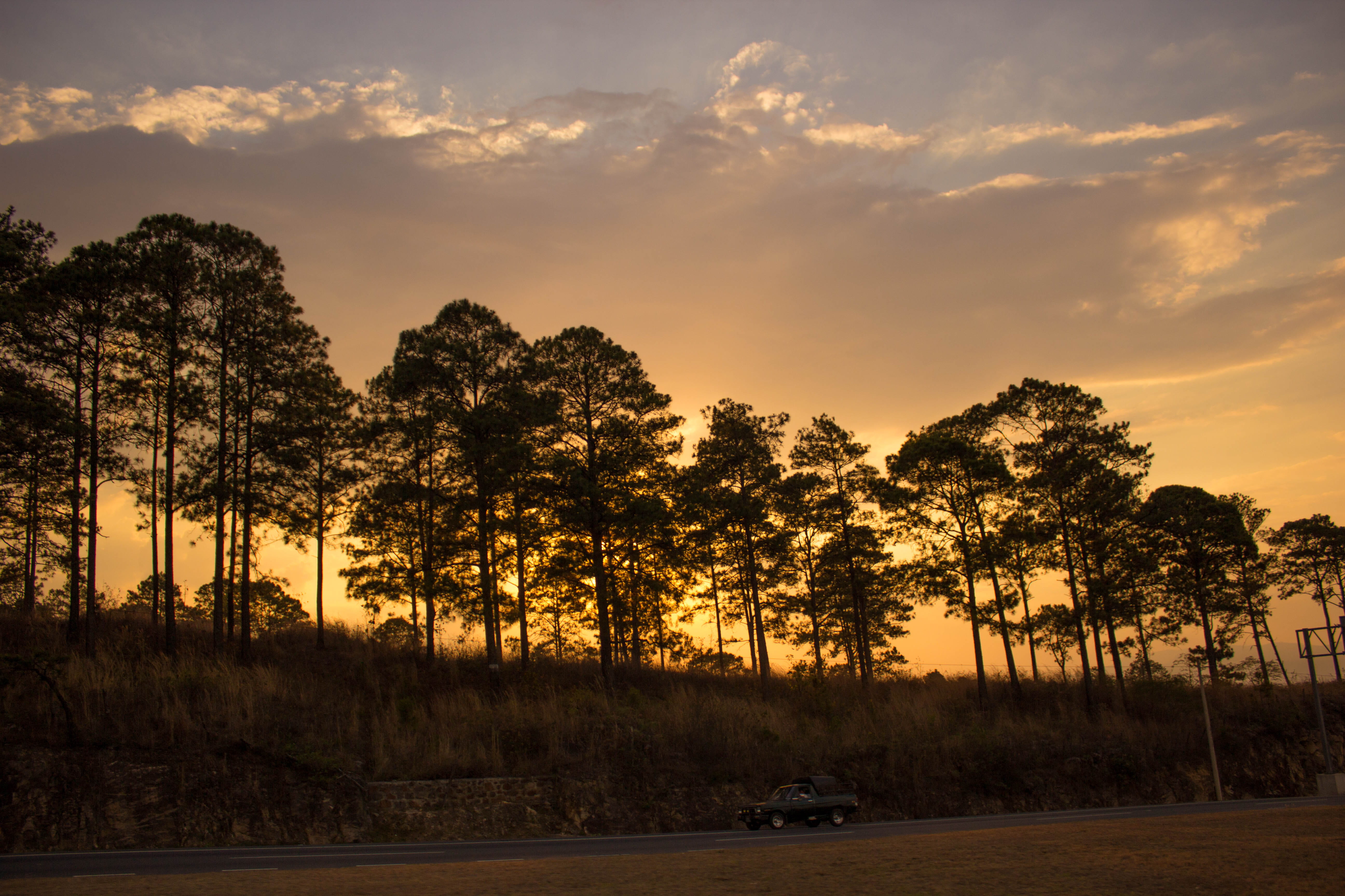 5K, tranquility, plant, non-urban scene, cloud - sky, land vehicle, beauty in nature, growth, orange color, car, nature, road trip, sky, scenics - nature, HD Wallpaper