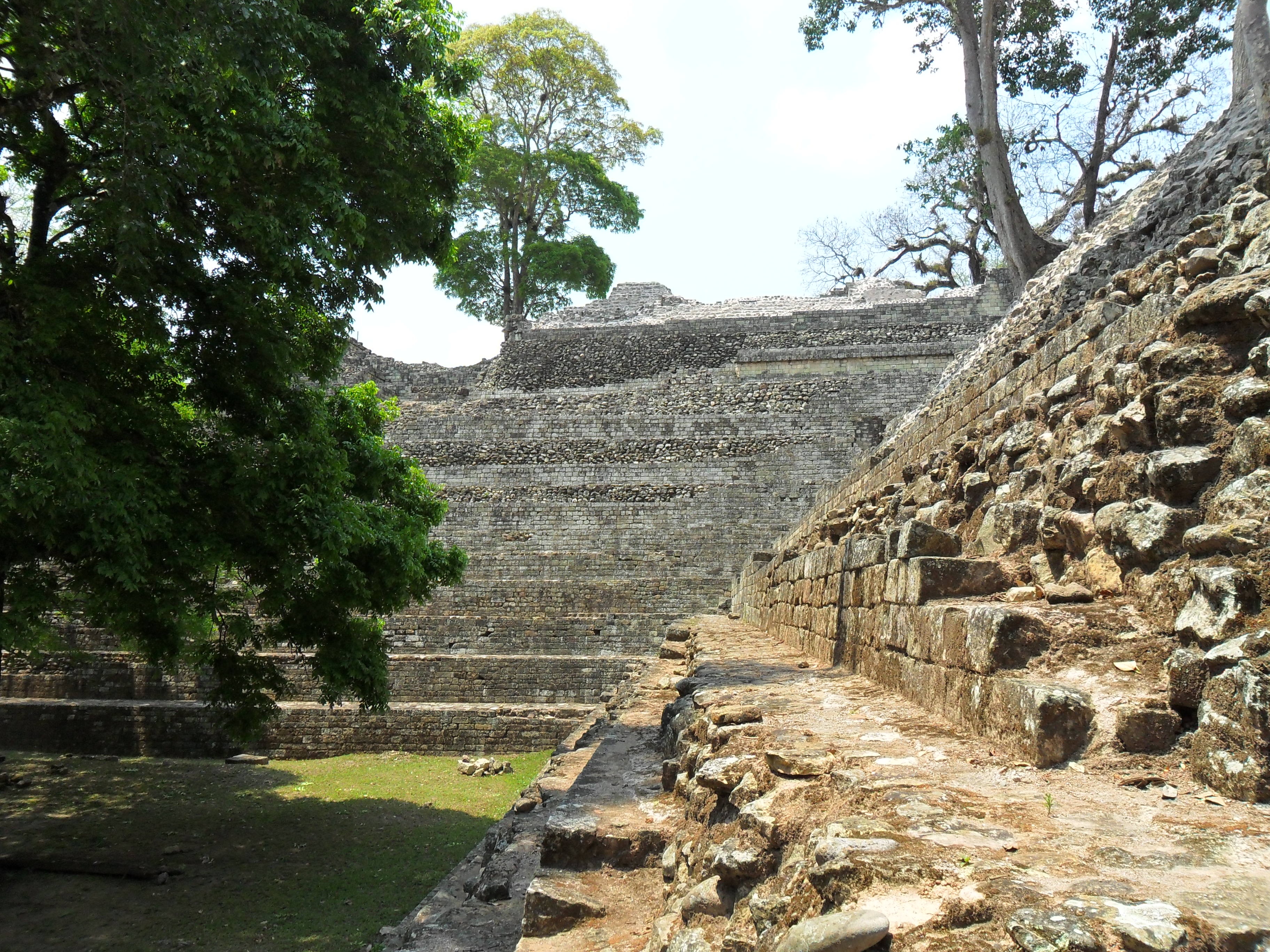 solid, stelae, direction, tree, no people, built structure, tourism, day, old, history, ancient civilization, outdoors, plant, 2K, honduras, catrachos, HD Wallpaper