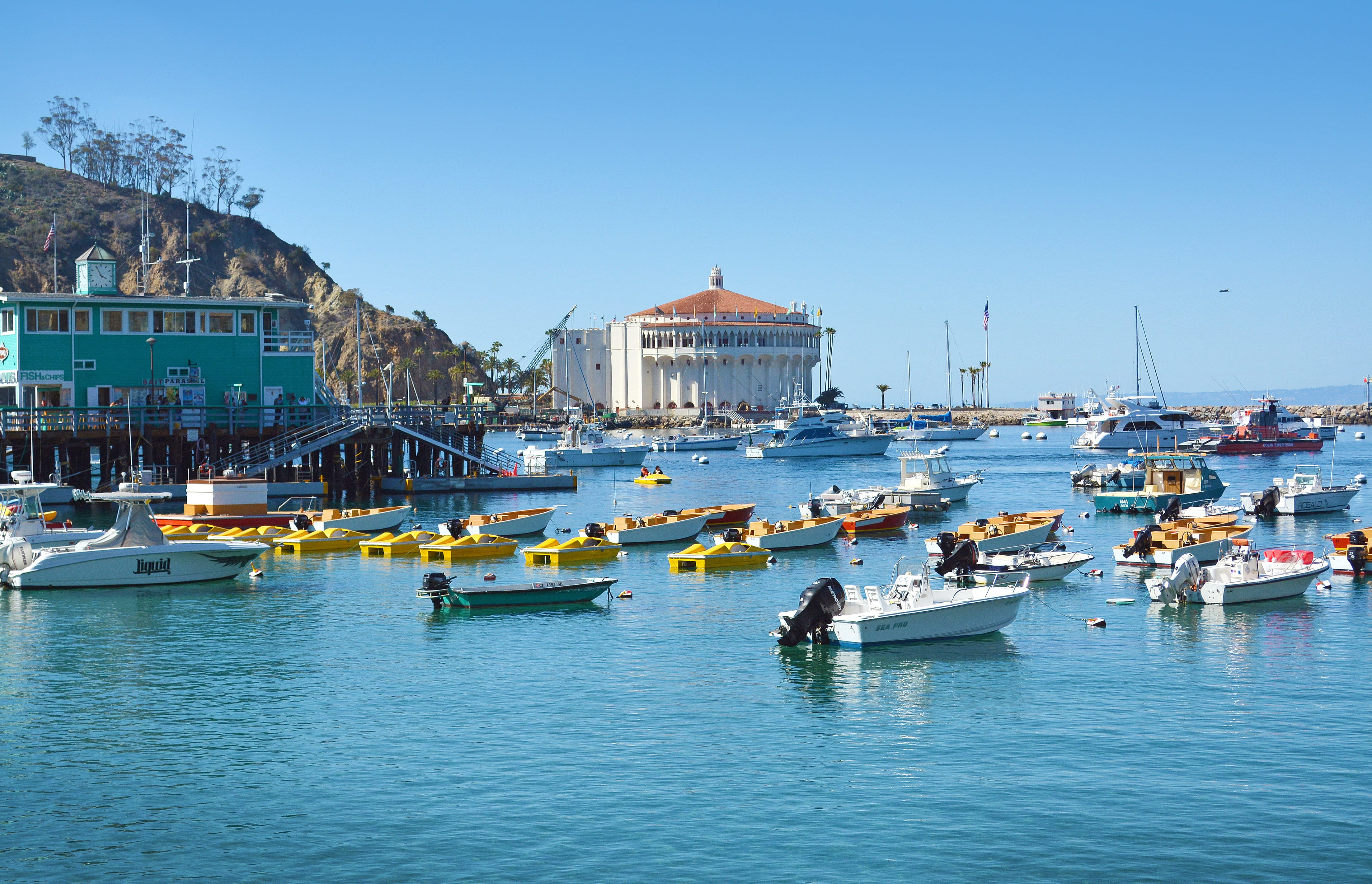 tourism, building, architecture, harbor, catalina, no people, transportation, sailboat, 4K, passenger craft, city, place of worship, outdoors, water, travel, HD Wallpaper