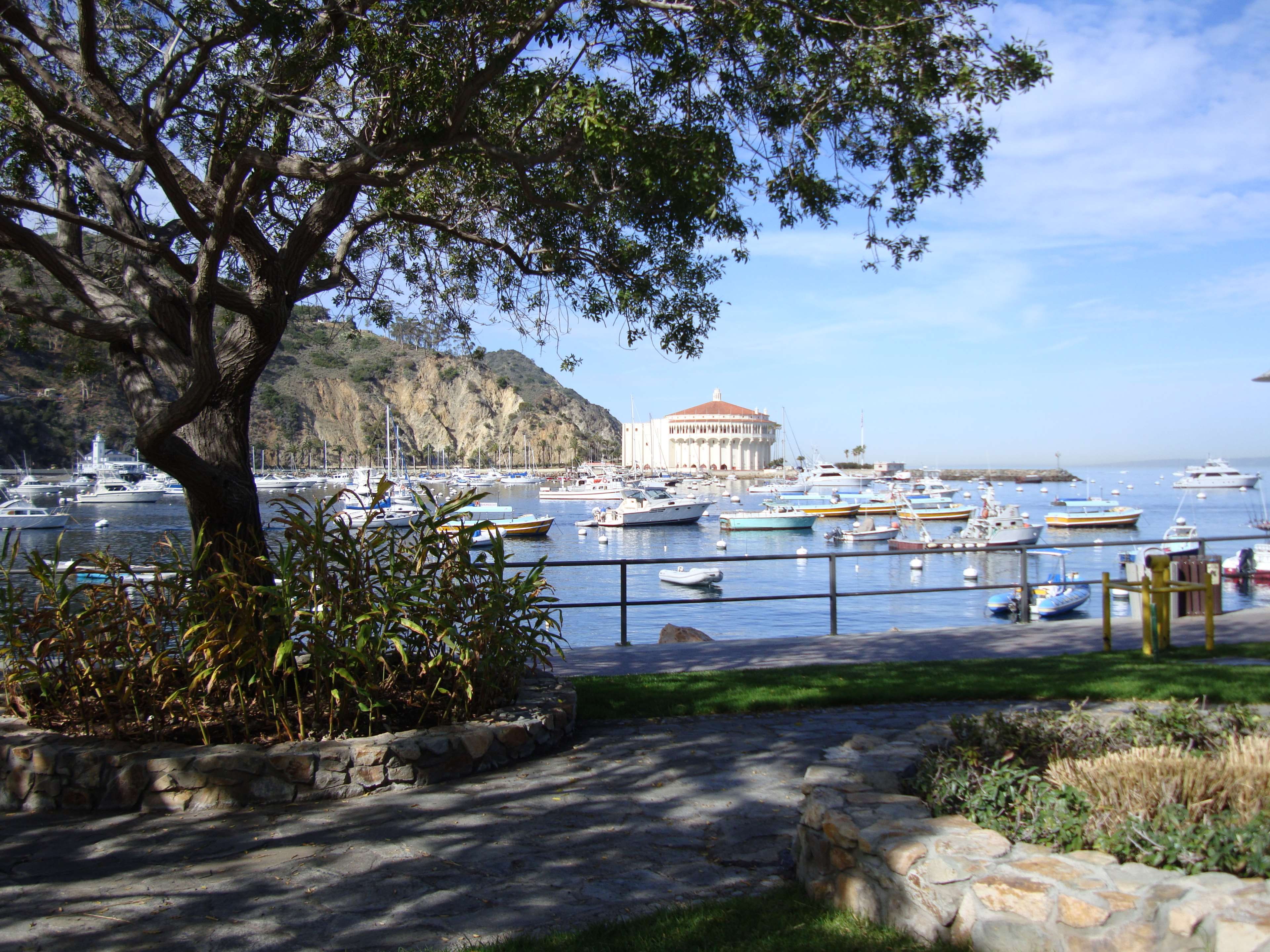 sea, land, water, sailboats, casino, plant, growth, nature, architecture, 4K, catalina island, no people, transportation, building, sky, building exterior, HD Wallpaper