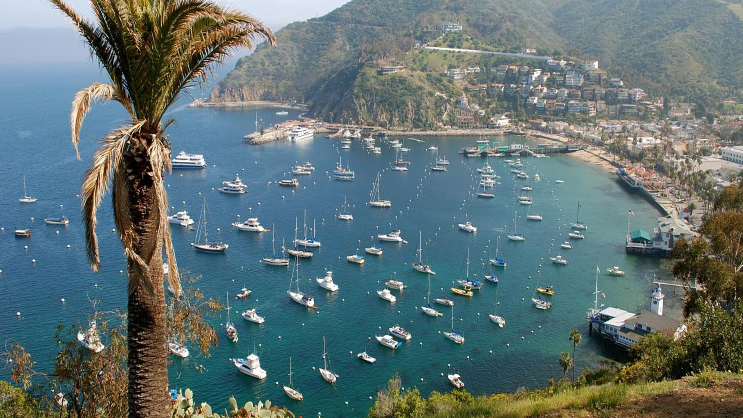 catalina, island, desktop, 2K, holiday, hd, bay, avalon, HD Wallpaper