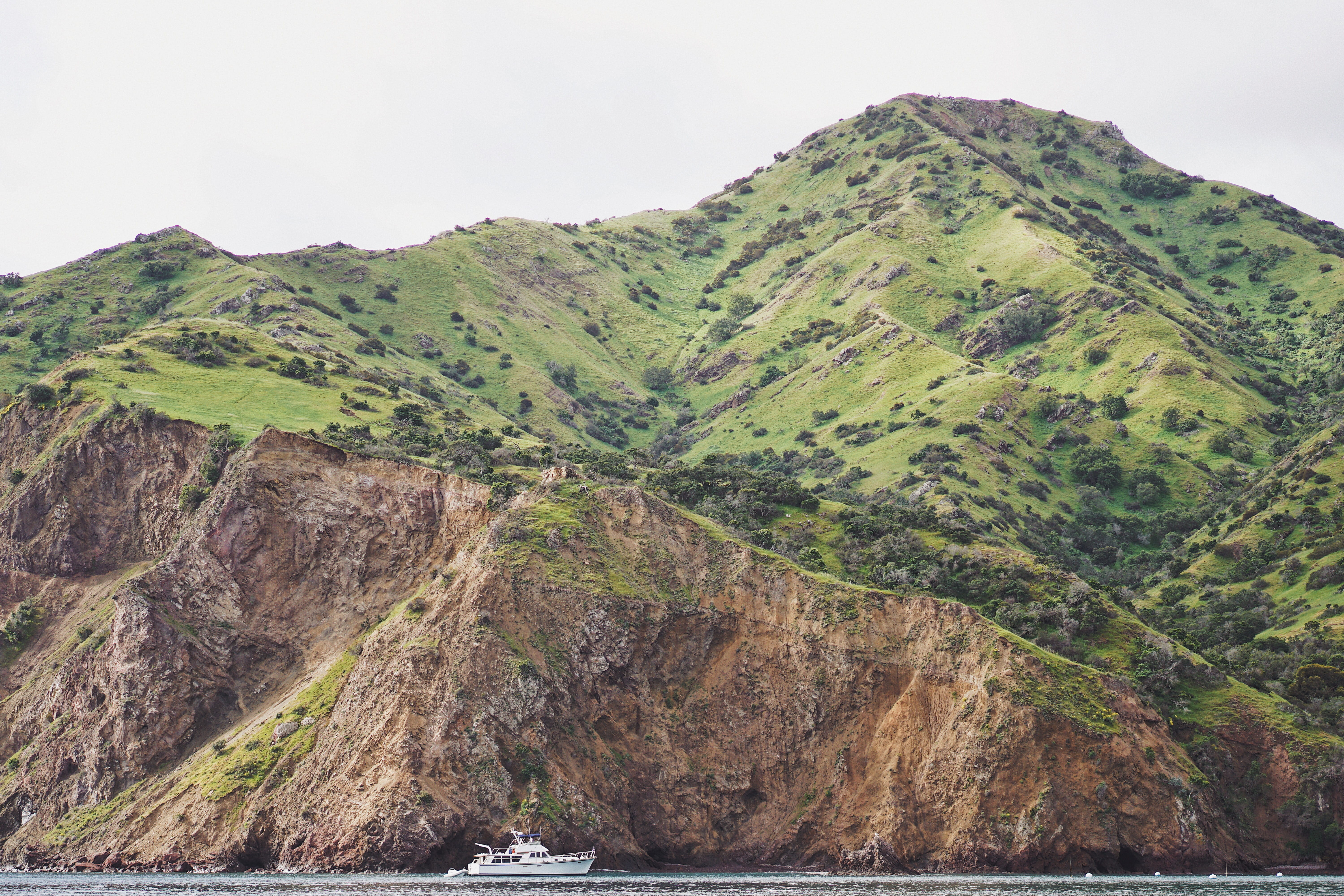 outdoors, scenics, coastline, watercraft, Catalina Island, Boat, beauty in nature, near, summer, land, green, cliff, body, environment, sailing, tranquil scene, HD Wallpaper