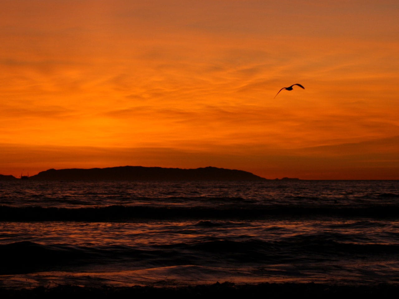 Pacific, nature, silhouette, flying, no people, california, sunlight, scenics - nature, adventure, California, beauty in nature, mid-air, wave, dusk, 720P, HD Wallpaper