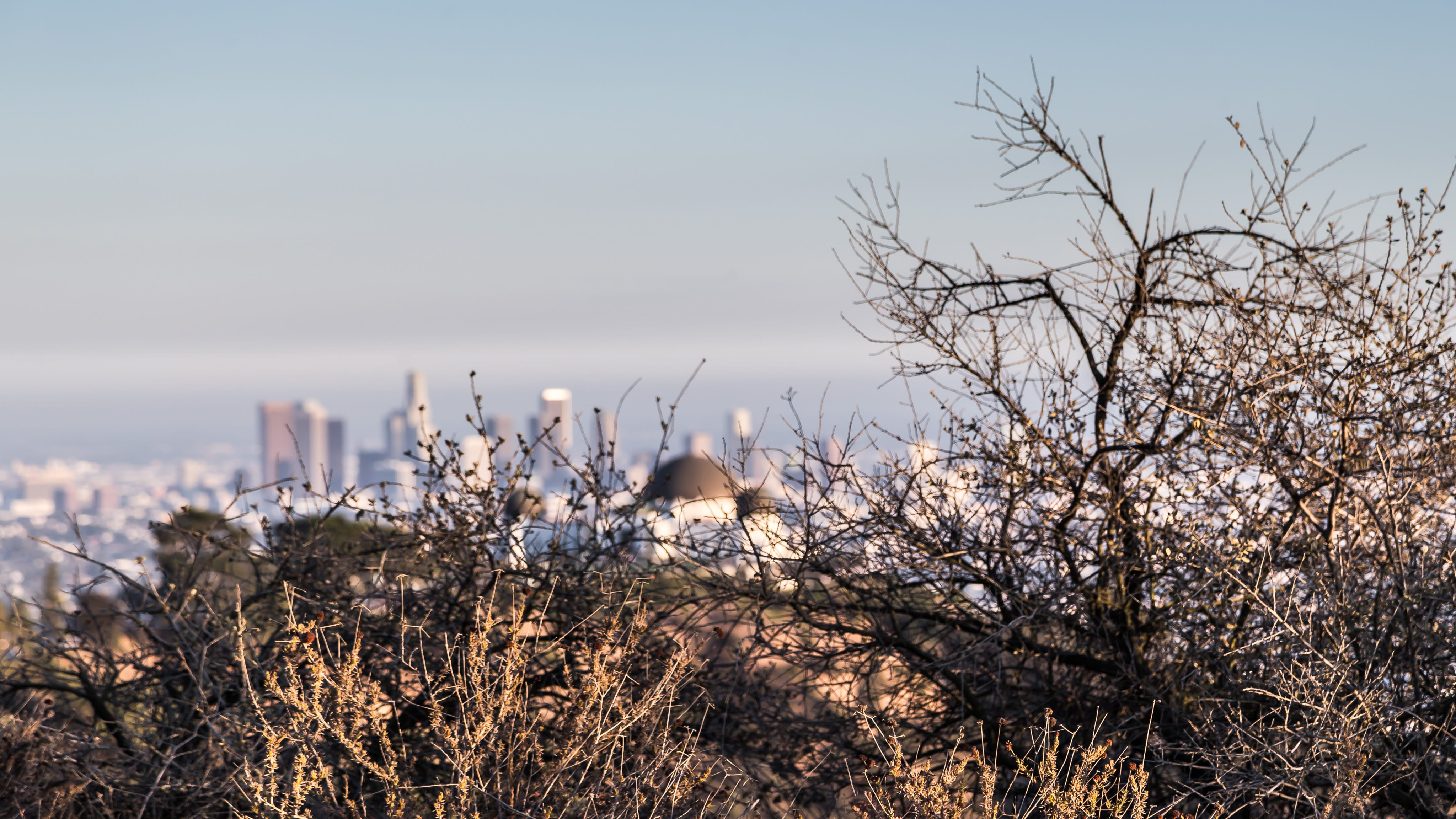 tranquility, soft focus, hike, scenics - nature, bush, beauty in nature, tranquil scene, non-urban scene, griffith observatory, 4K, land, architecture, HD Wallpaper