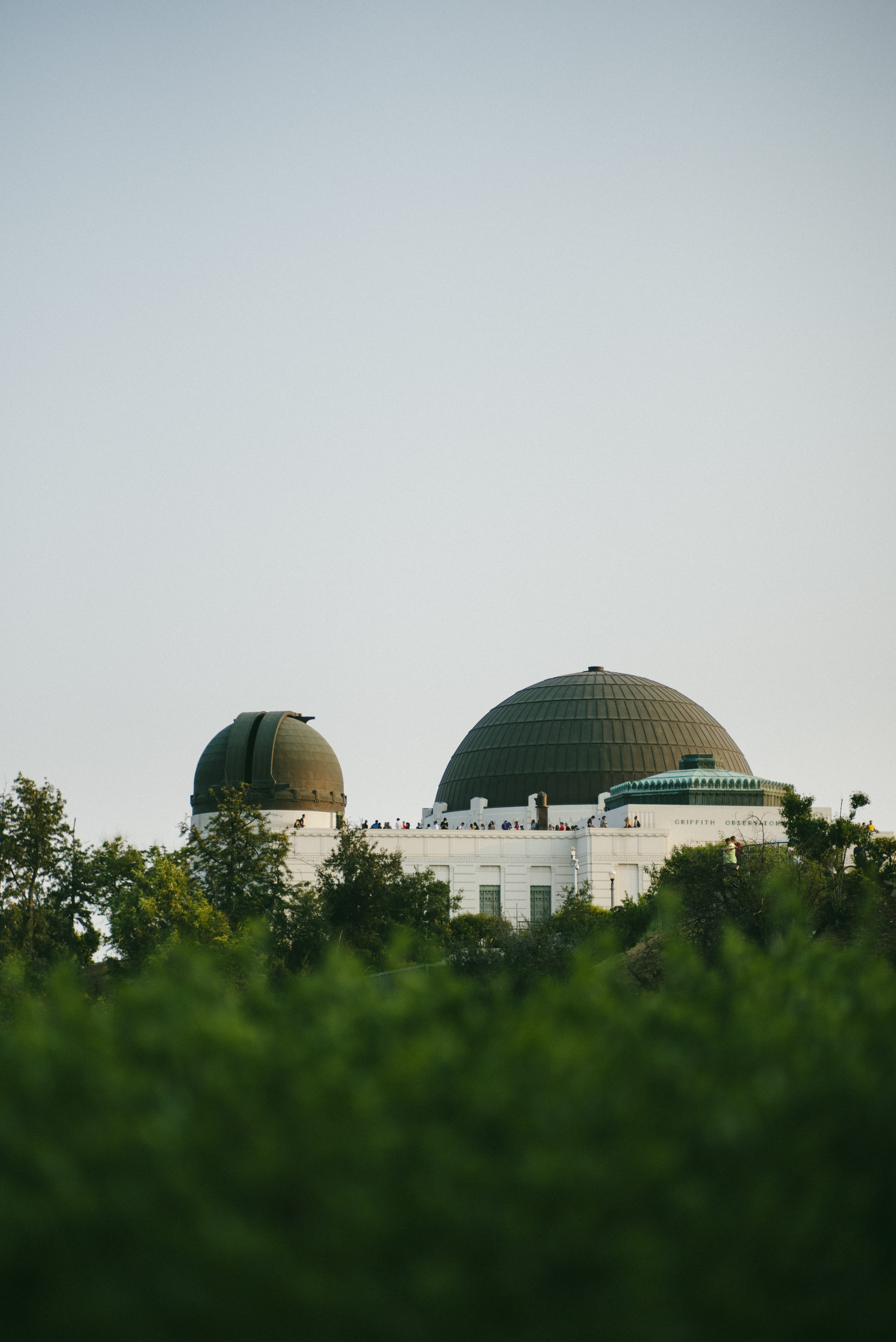 building exterior, sky, nature, built structure, los angeles, dome, la, no people, copy space, clear sky, tree, griffith observatory, building, architecture, Phone HD Wallpaper