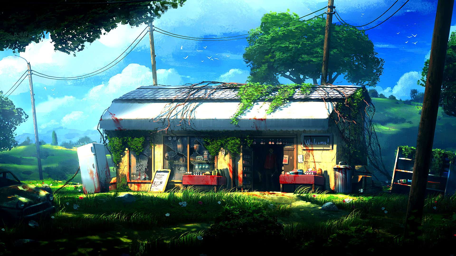 building exterior, retail, yellow, glass - material, 1080P, outdoors, wooden, business, growth, tree, apocalyptic, sunlight, store, house, grey, residential district, HD Wallpaper