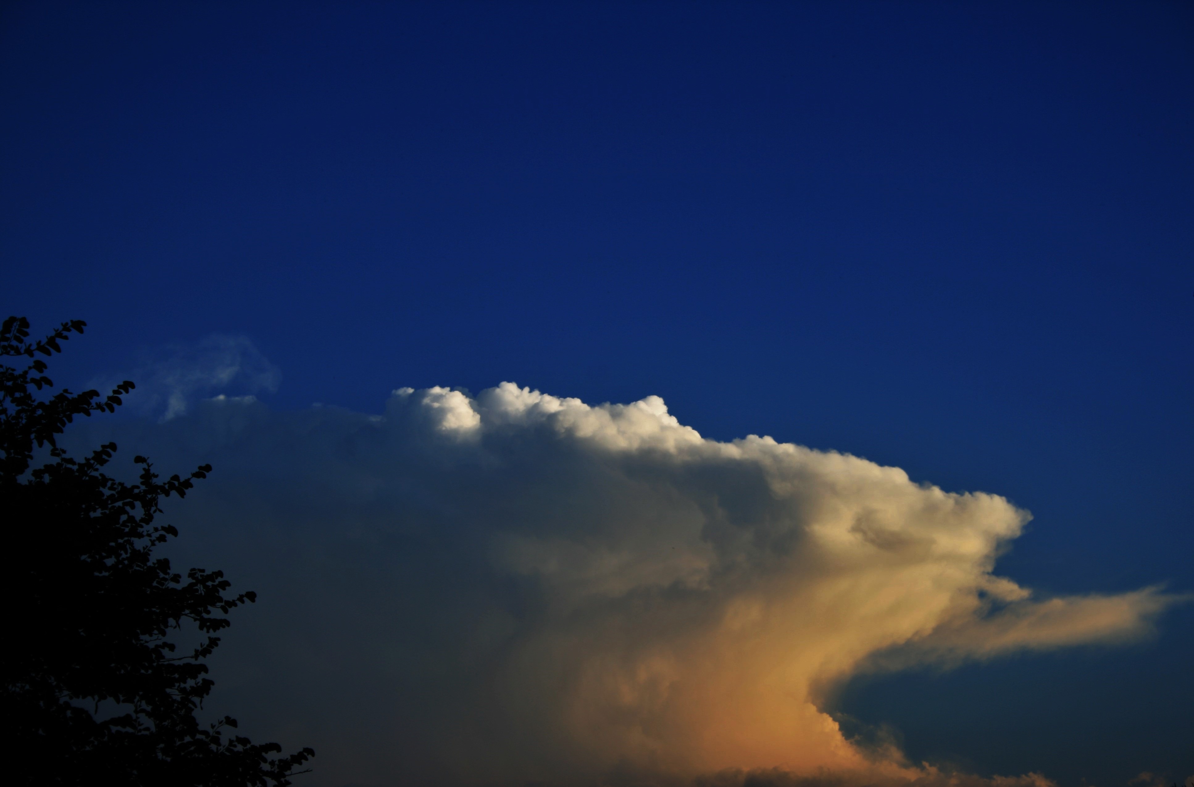 day, sky, cloud - sky, lit, meteorology, flat, outdoors, tree, sunset, anvil cloud, cloud, backgrounds, anvil, tranquil scene, tinted, environment, low angle view, HD Wallpaper