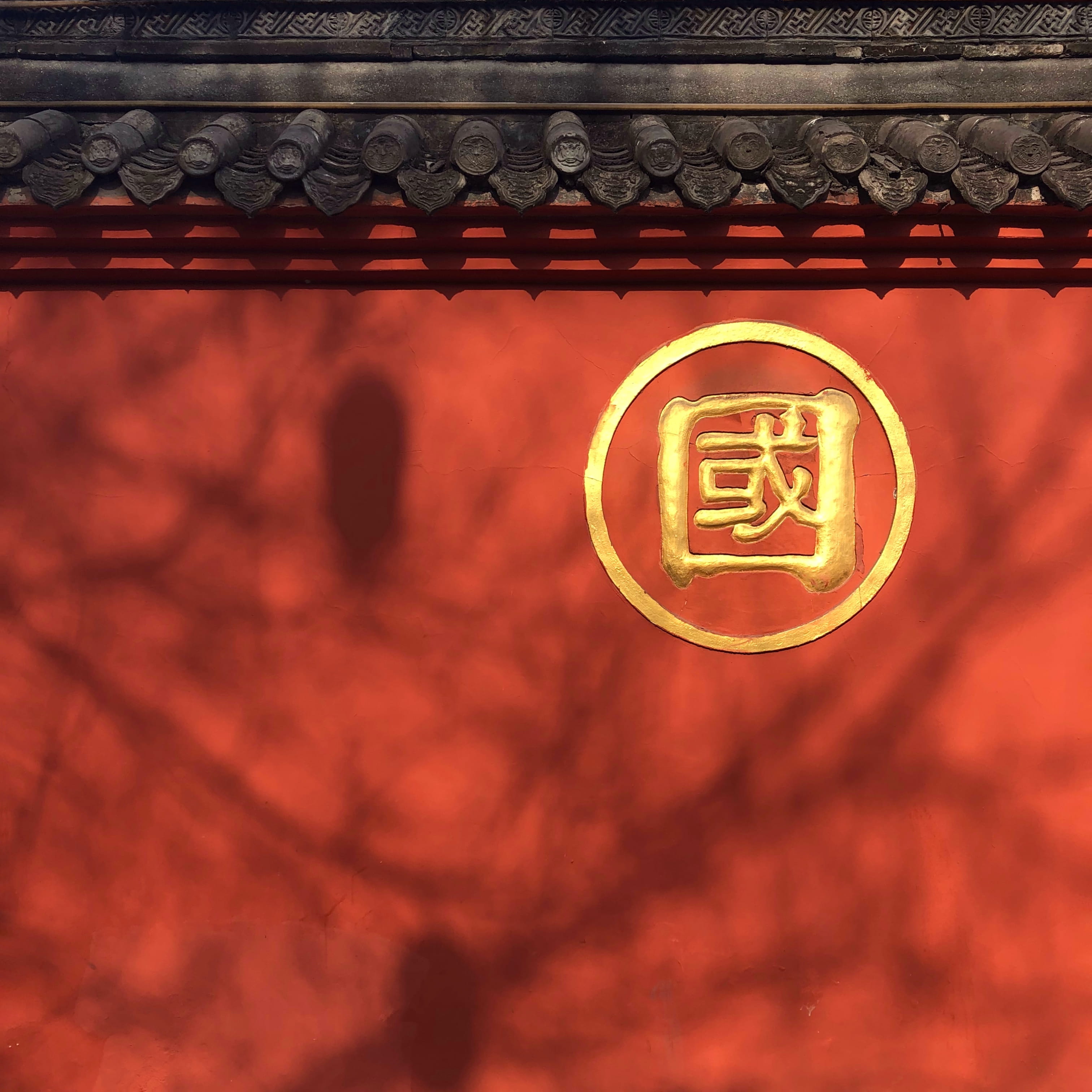 emblem, shadow, sign, communication, text, spring festival, no people, leaf, orange color, unreal tournament, plant, close-up, architecture, lighting equipment, Phone HD Wallpaper