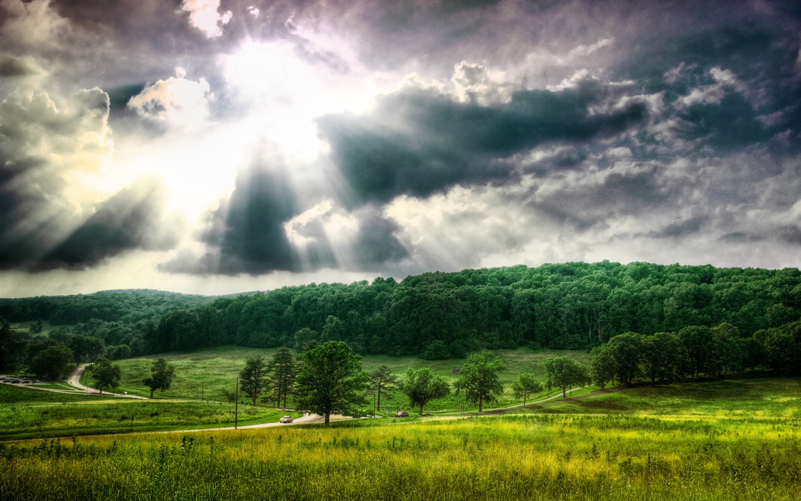 land, green color, outdoors, no people, grass, forest, green, photography, tranquil scene, plant, environment, trees, highdynamicrange, valley, valleyforge, HD Wallpaper