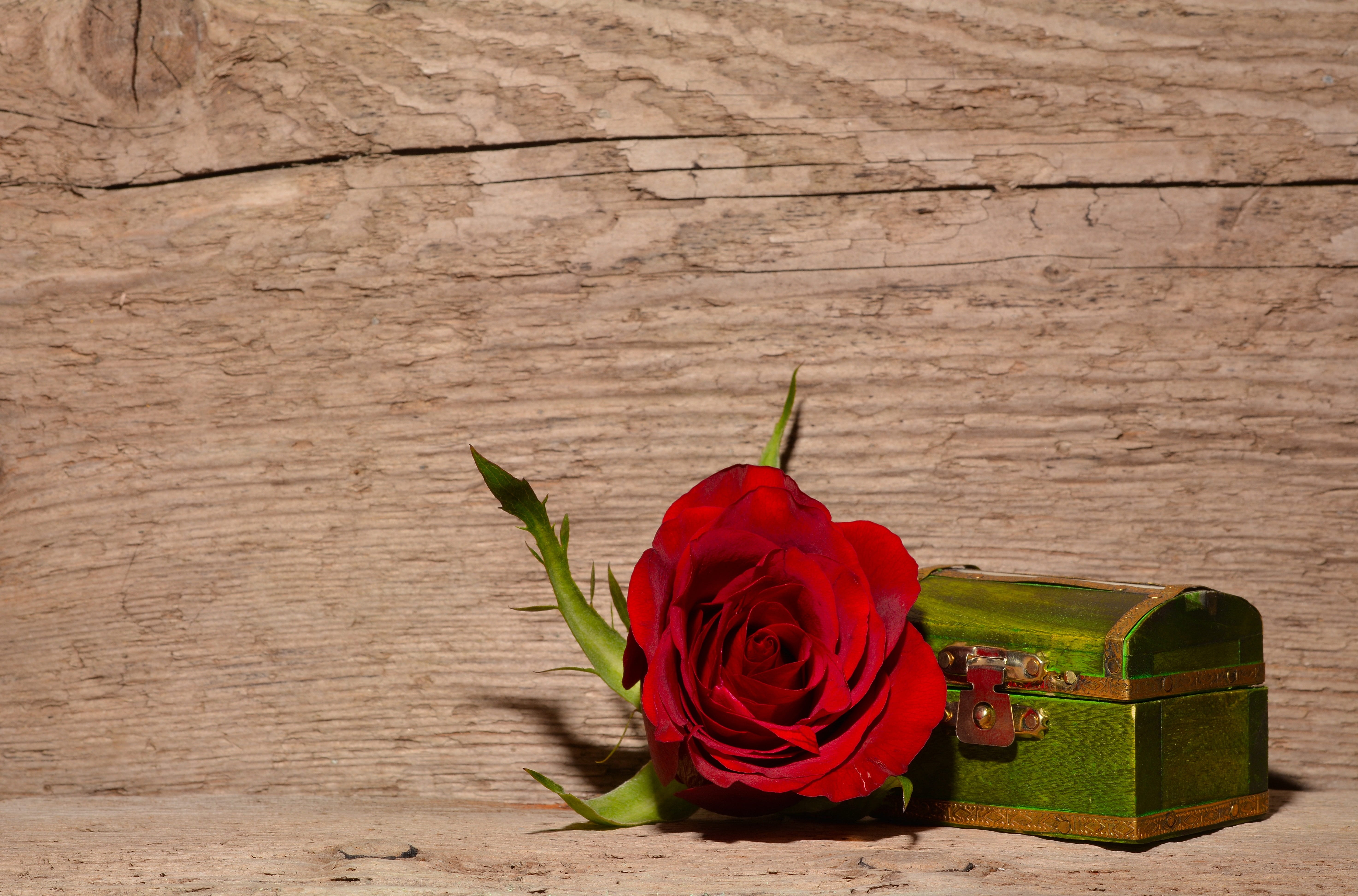 bouquet, beauty in nature, still life, valuable, petal, indoors, nature, chest, blossom, treasure, deco, bloom, close-up, flower, near, fragility, red, HD Wallpaper
