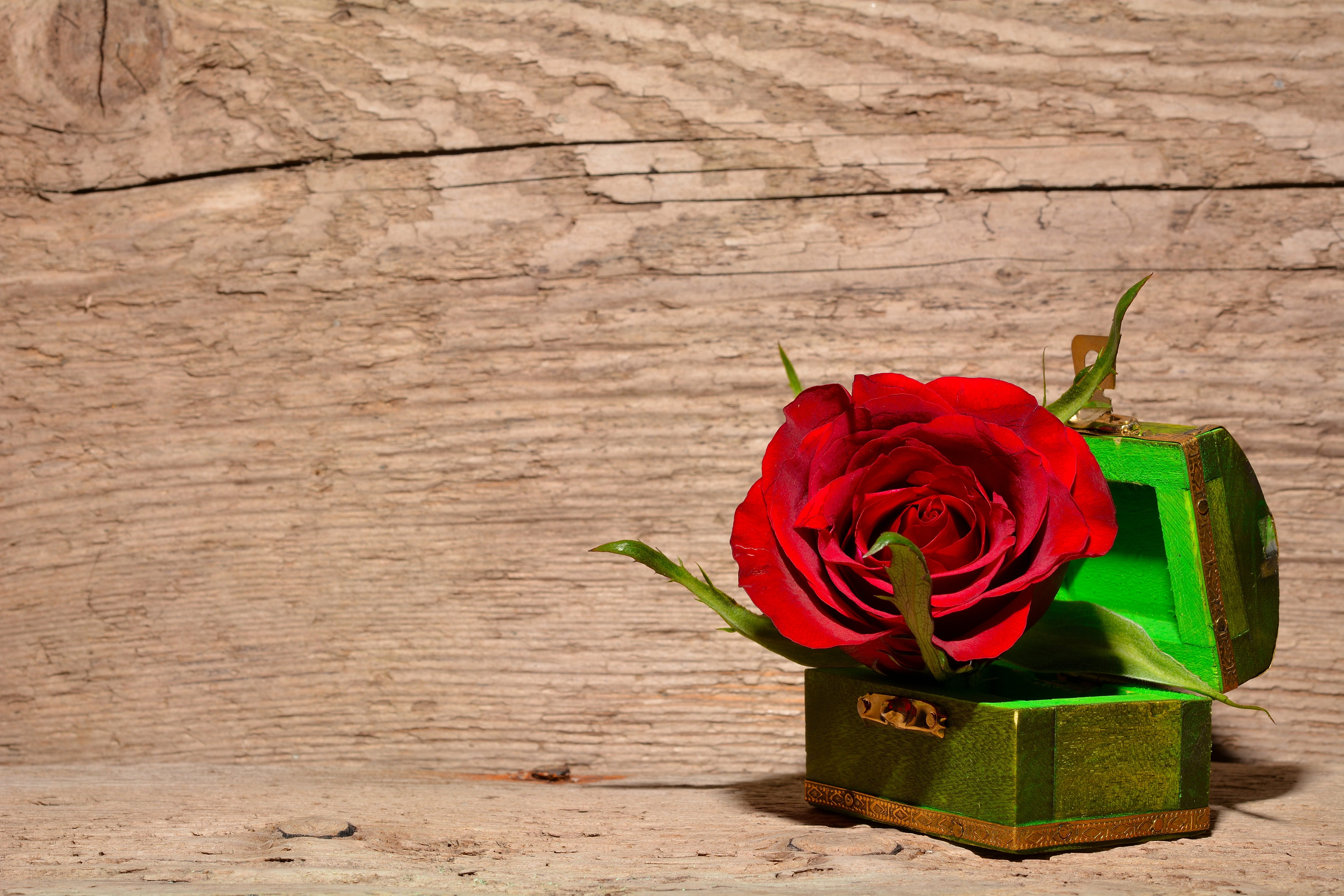 beauty in nature, wood, gift box, flower, chest, no people, box - container, valuable, treasure, red rose, rose, positive emotion, flowering plant, 5K, HD Wallpaper