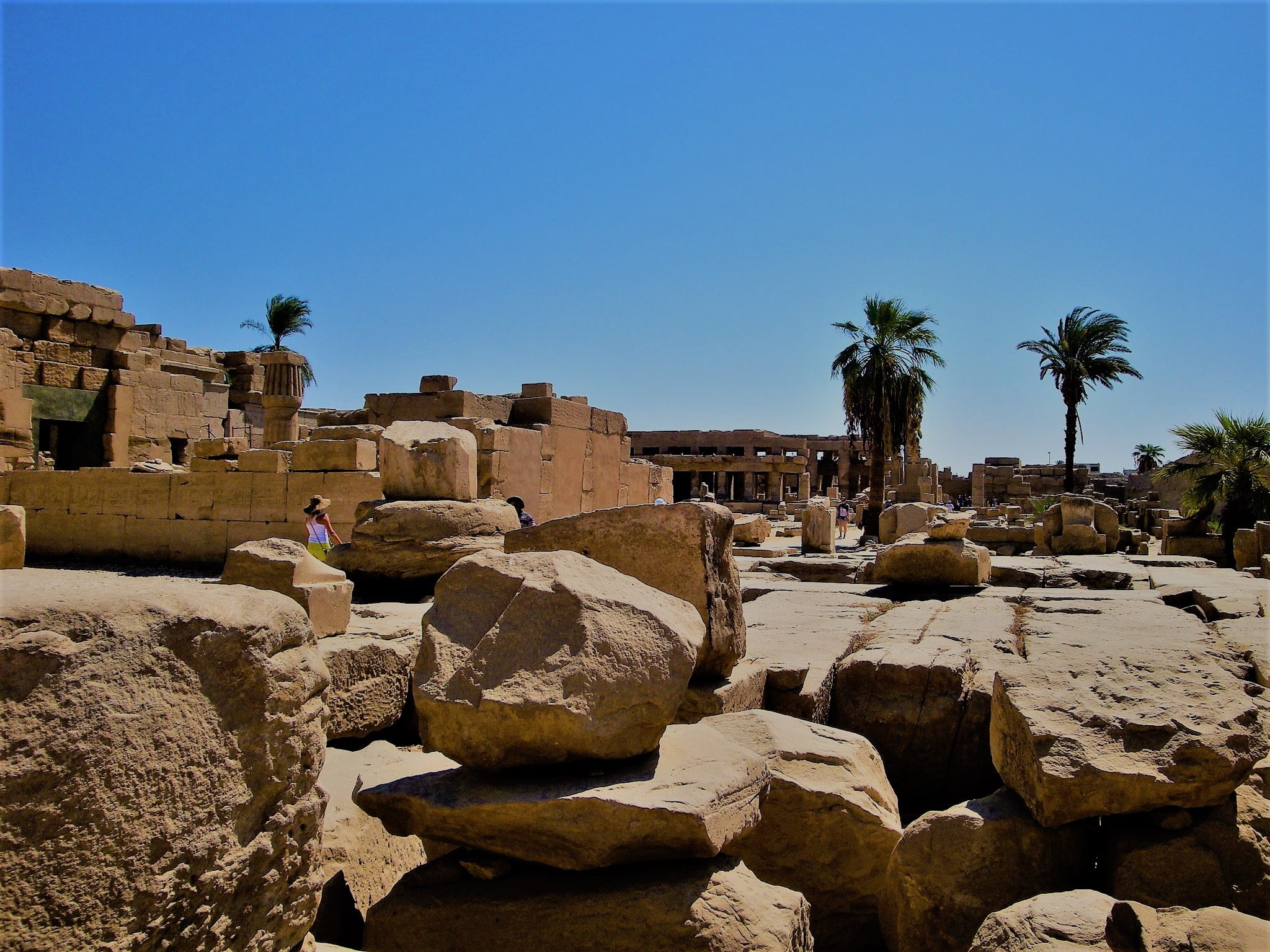 archeology, luxor - Thebes, cultures, 1080P, built structure, palm tree, nature, pharaoh, outdoors, ancient, architecture, tourism, the past, history, HD Wallpaper