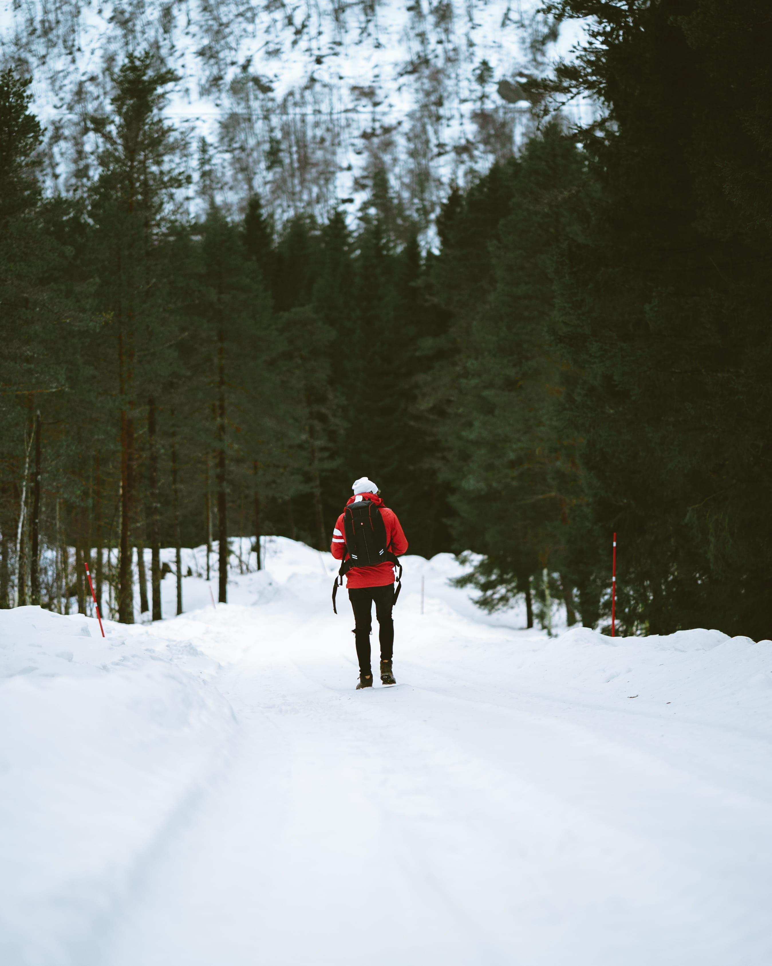 red jacket, man, activity, warm clothing, covering, plant, full length, women, land, footpath, recreational Pursuit, nature, winter, action, walking, tree, Phone HD Wallpaper
