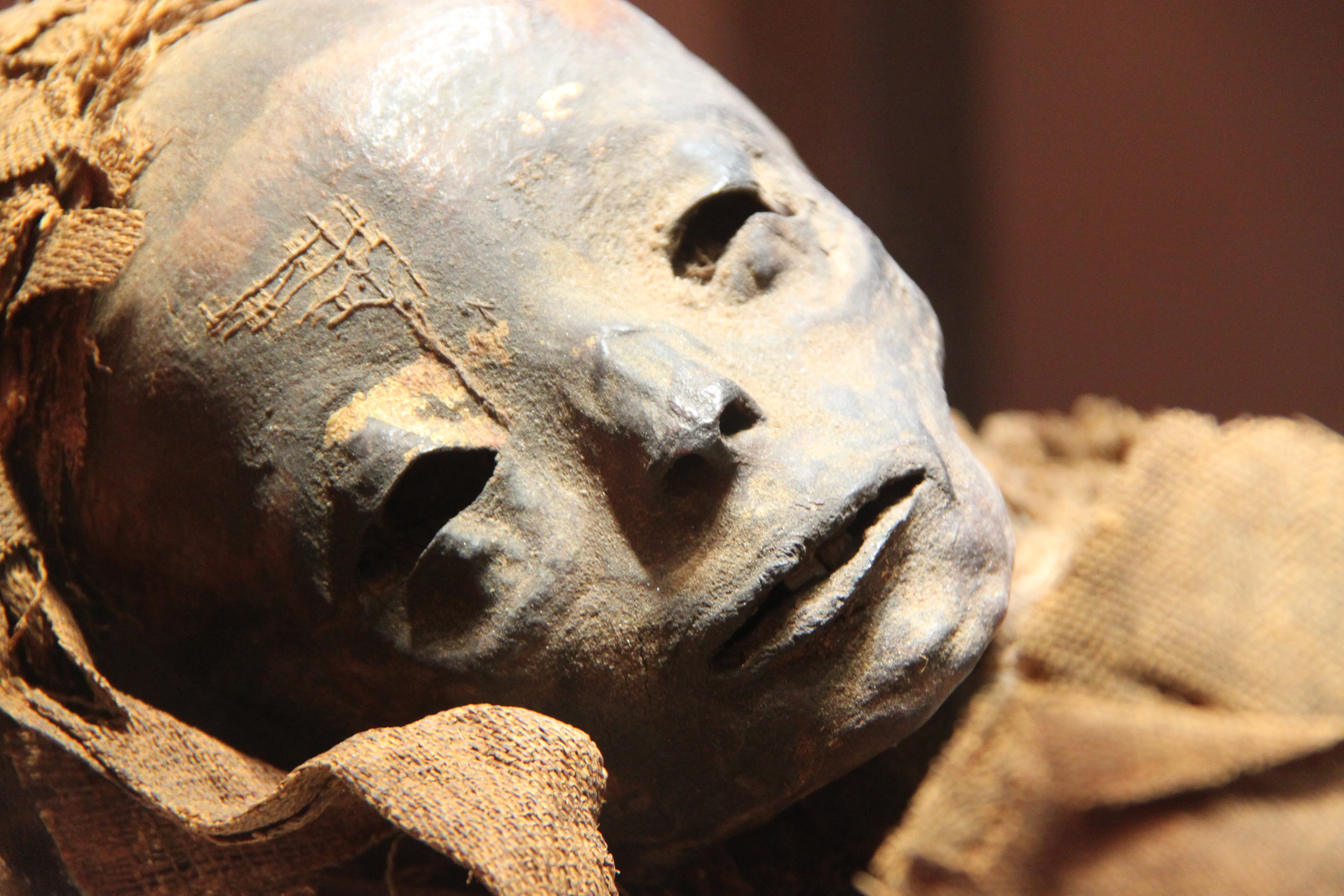 ancient, architecture, representation, figure, archaeology, sculpture, no people, egyptology, statue, museum, creativity, belief, art and craft, history, HD Wallpaper