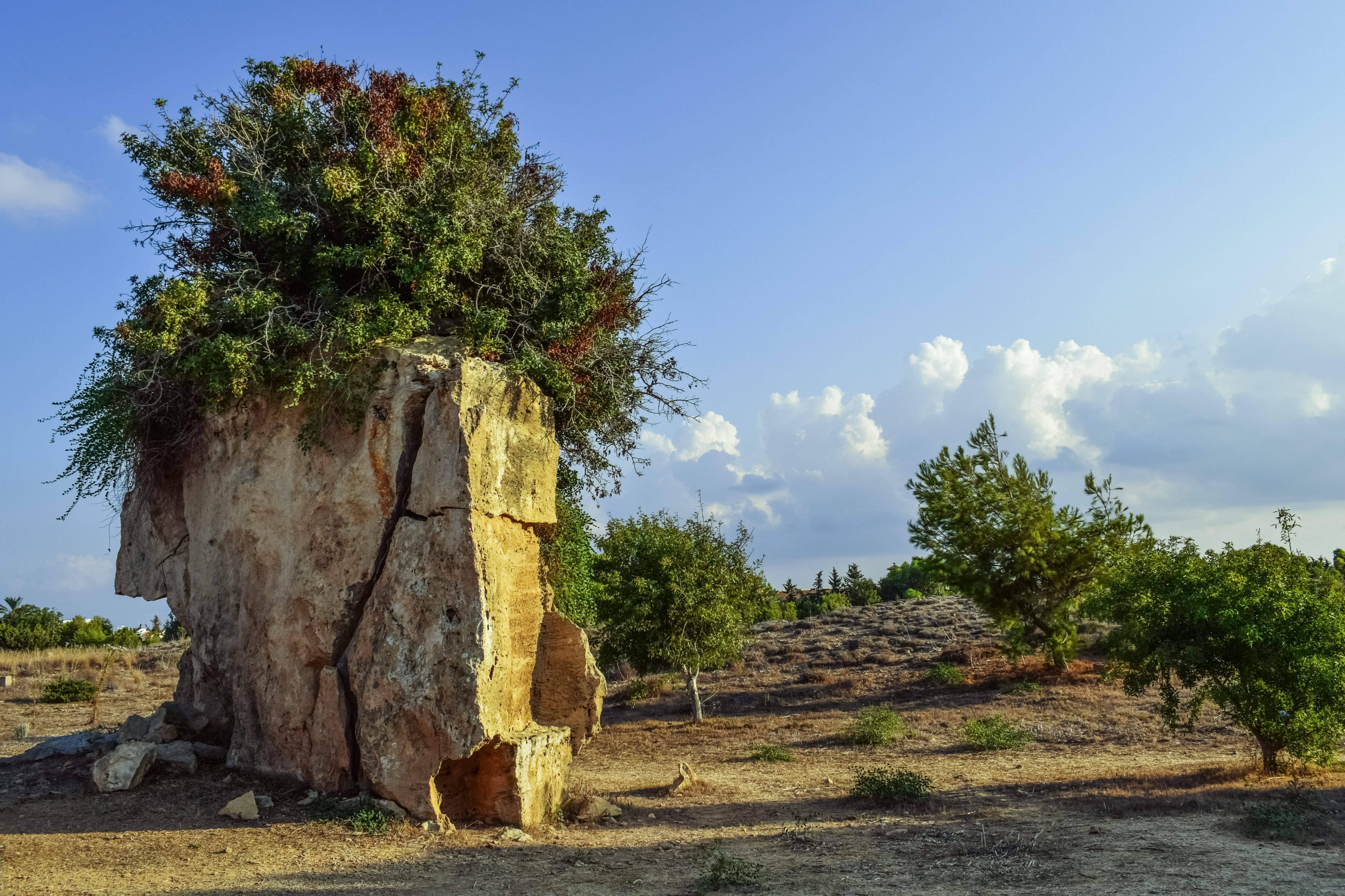 unesco heritage site, green color, sunlight, field, outdoors, cyprus, plant, no people, landscape, historic, non-urban scene, nature, tree, clouds, archaeology, HD Wallpaper