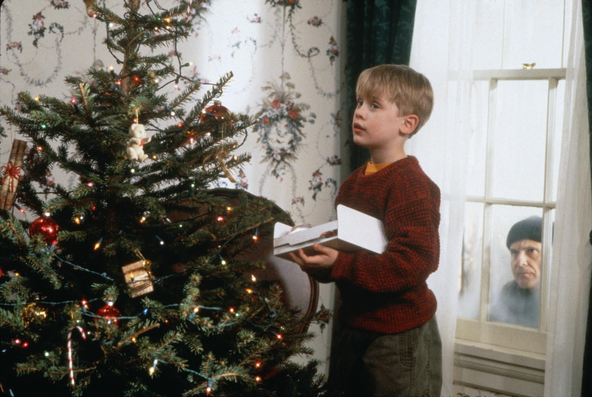 christmas, Alone, 1080P, home, Comedy, HD Wallpaper