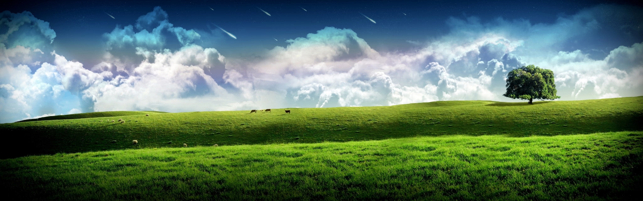 dramatic sky, plain, panoramic, plant, cloud - sky, scenics - nature, meadow, beauty in nature, environmental conservation, environment, landscape, land, HD Wallpaper